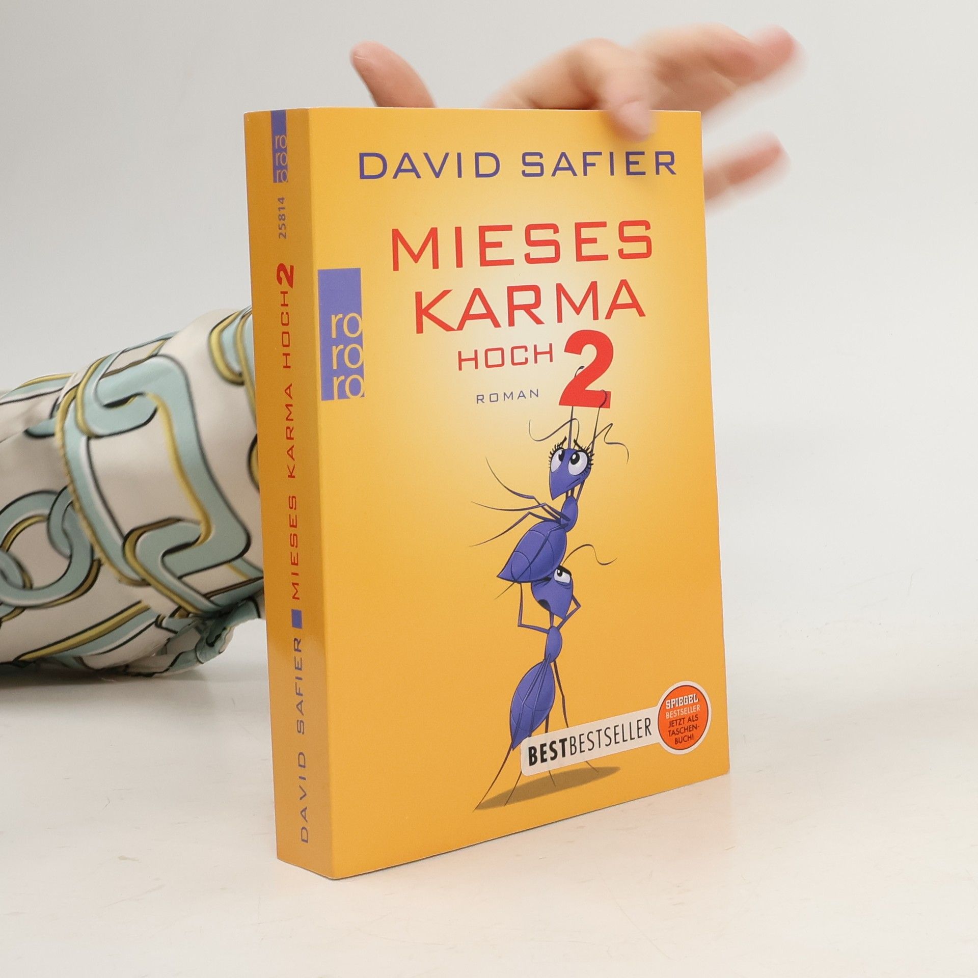 David Safier Mieses Karma hoch 2
