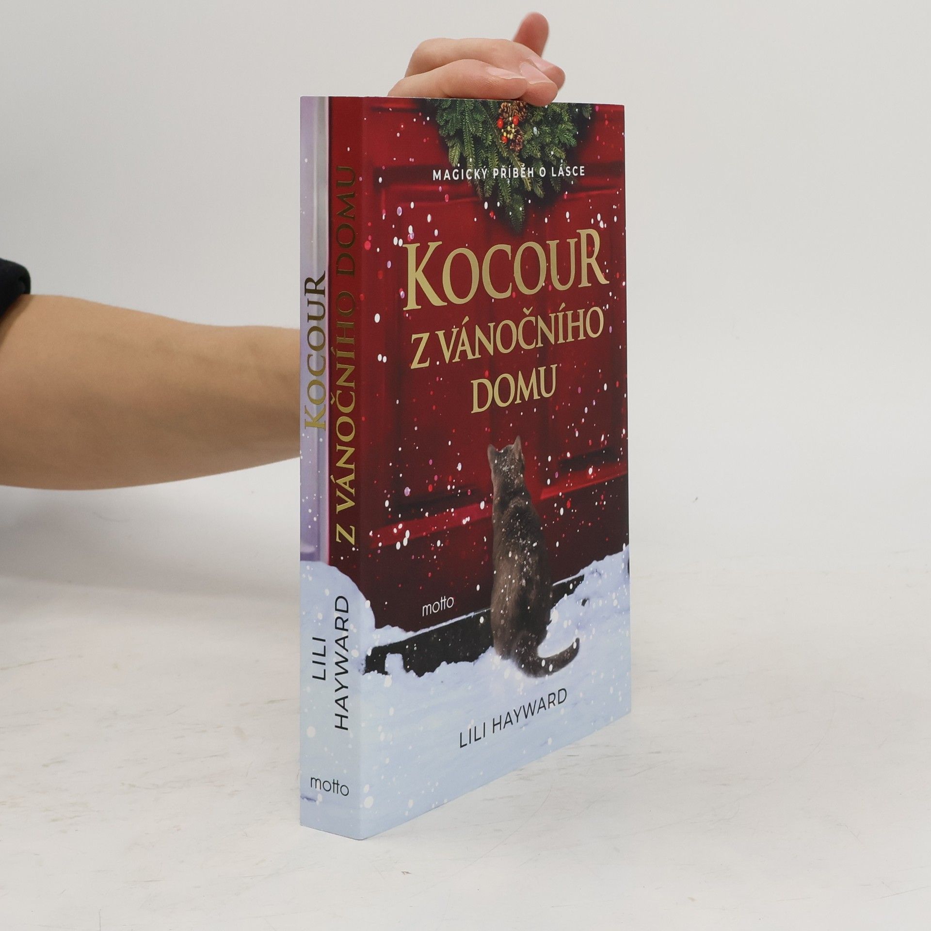 Kocour z vánočního domu