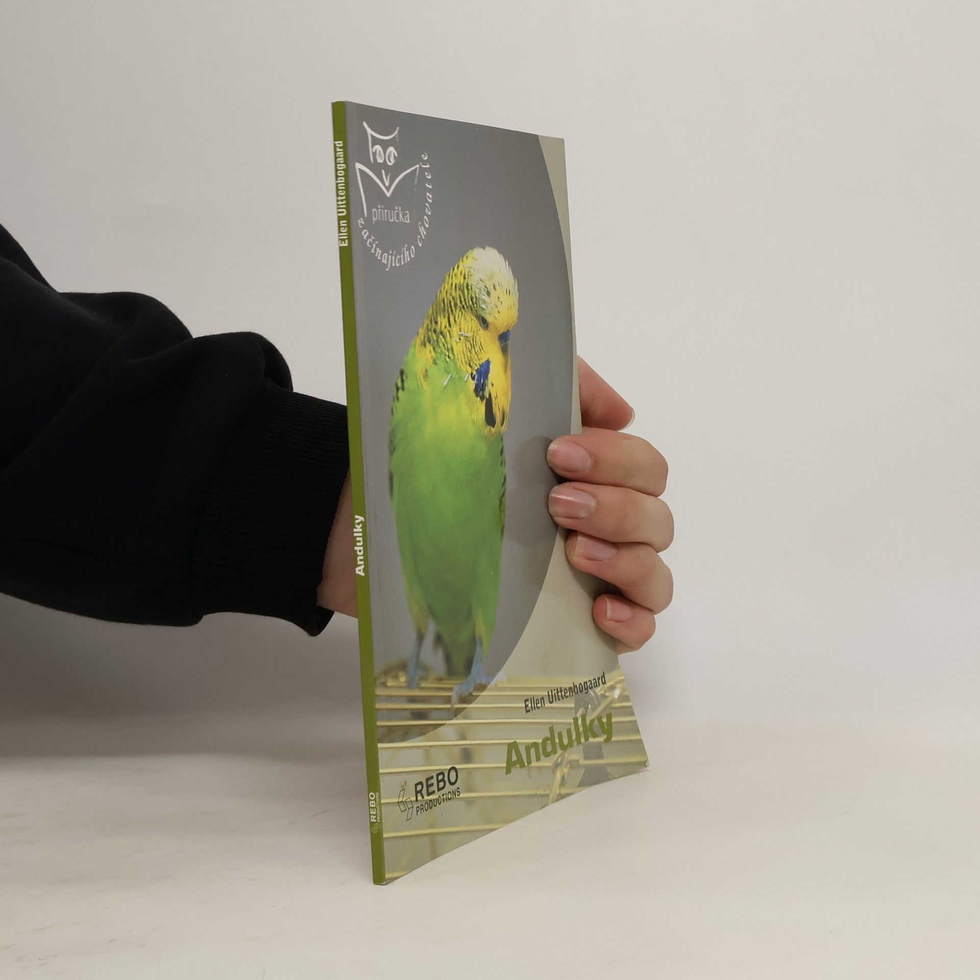 Ellen Uittenbogaard Andulky