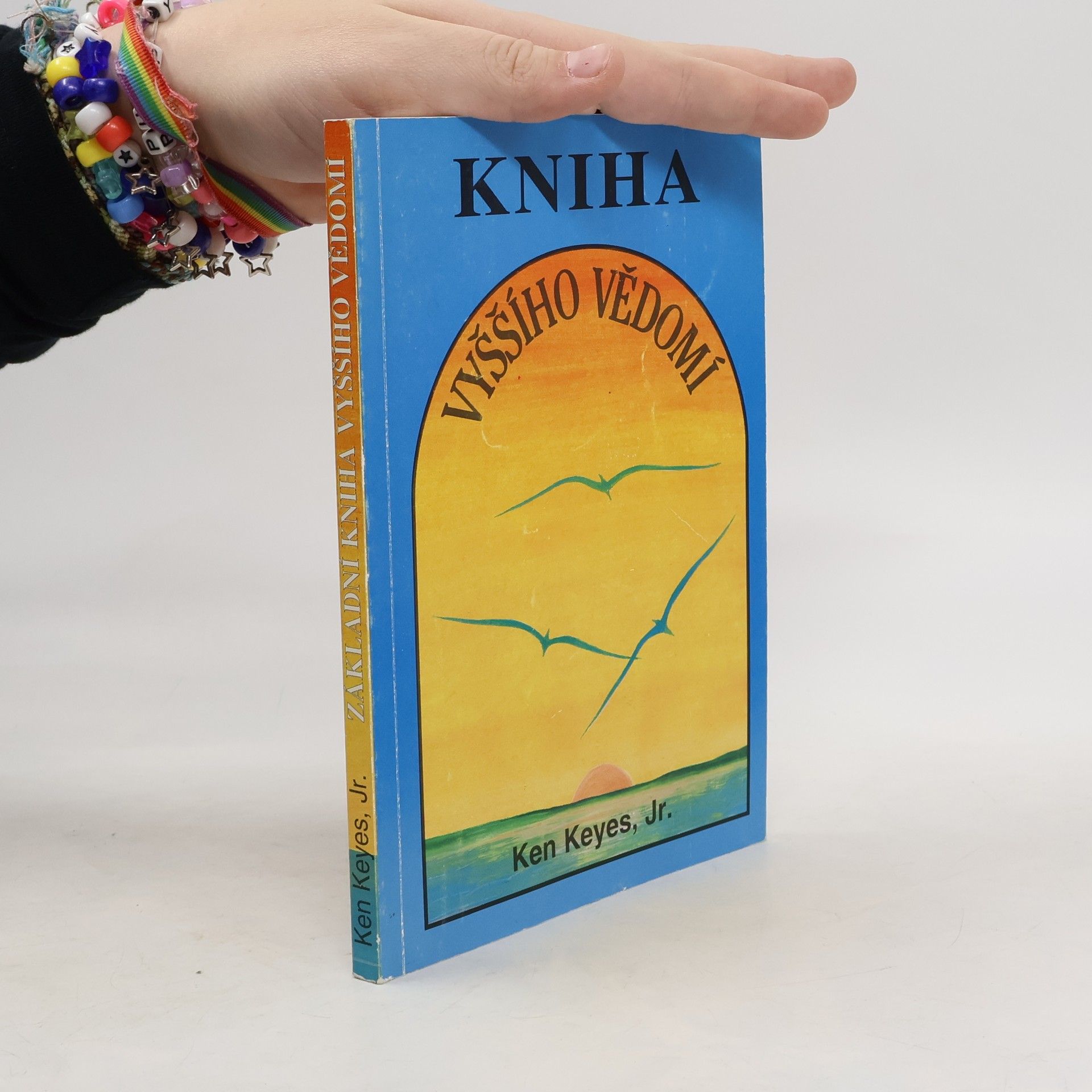 Ken Keyes, Jr. Základní kniha vyššího vědomí