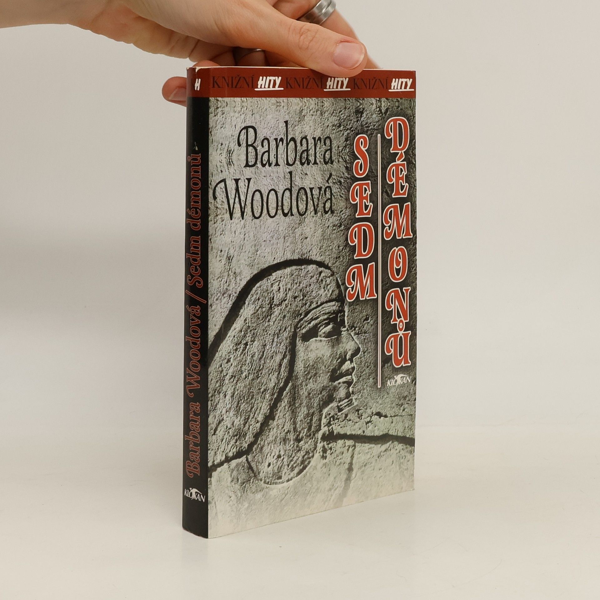 Barbara Wood Sedm démonů