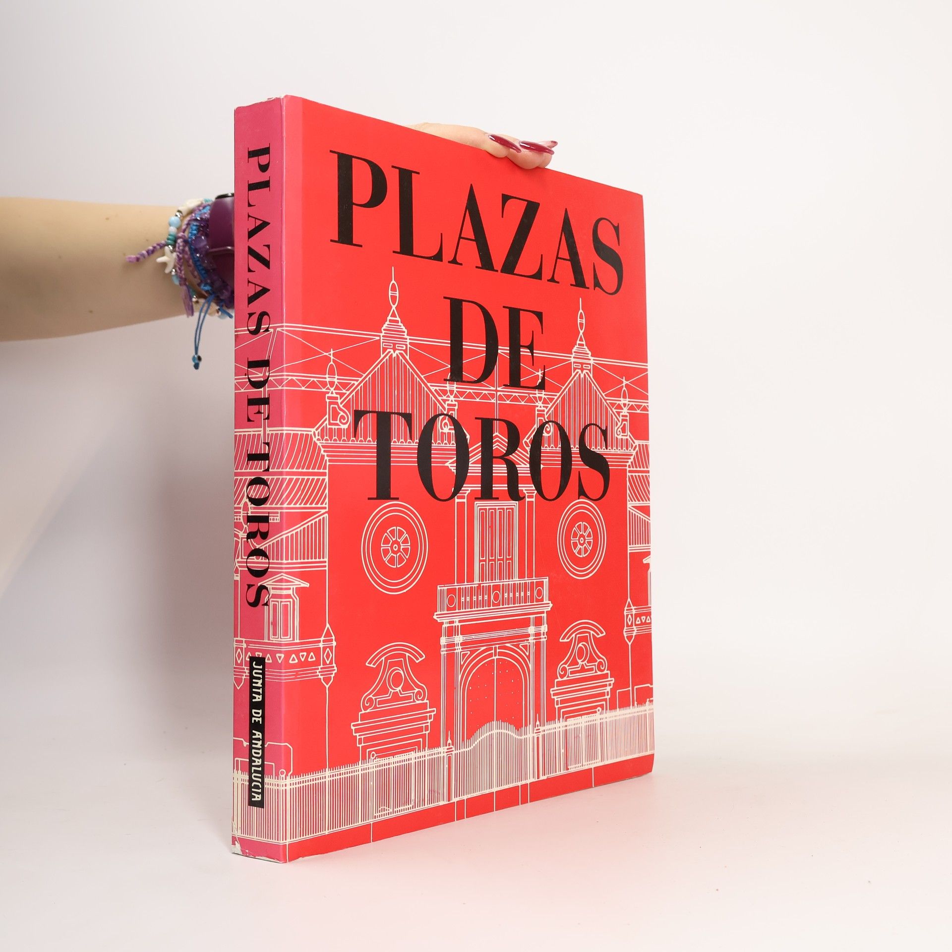 Gonzalo Díaz-Y. Recasens Plazas de toros