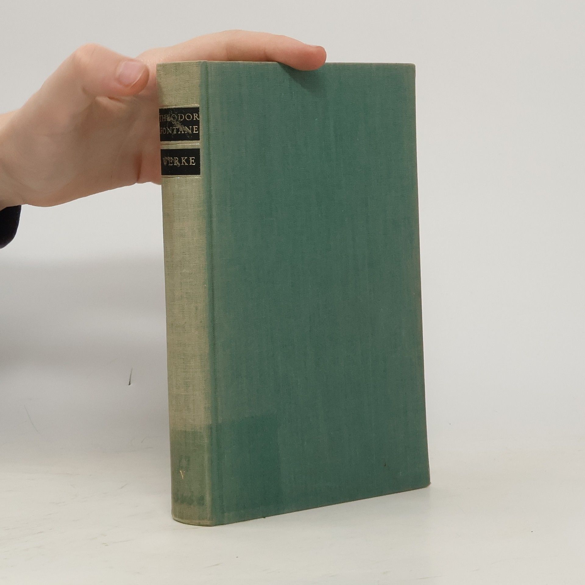 Theodor Fontane Werke V