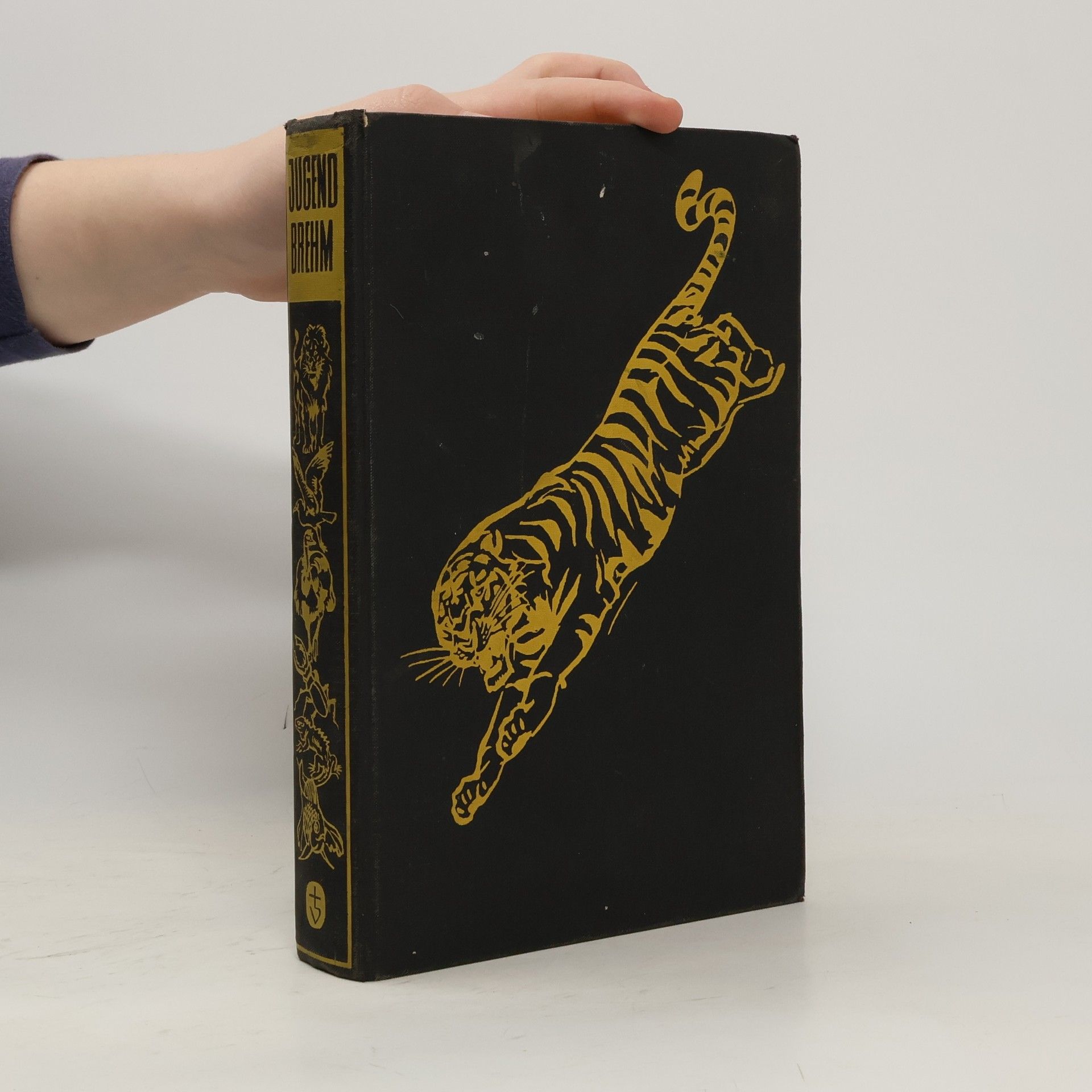 Kolektív autorov Der Jugend-Brehm