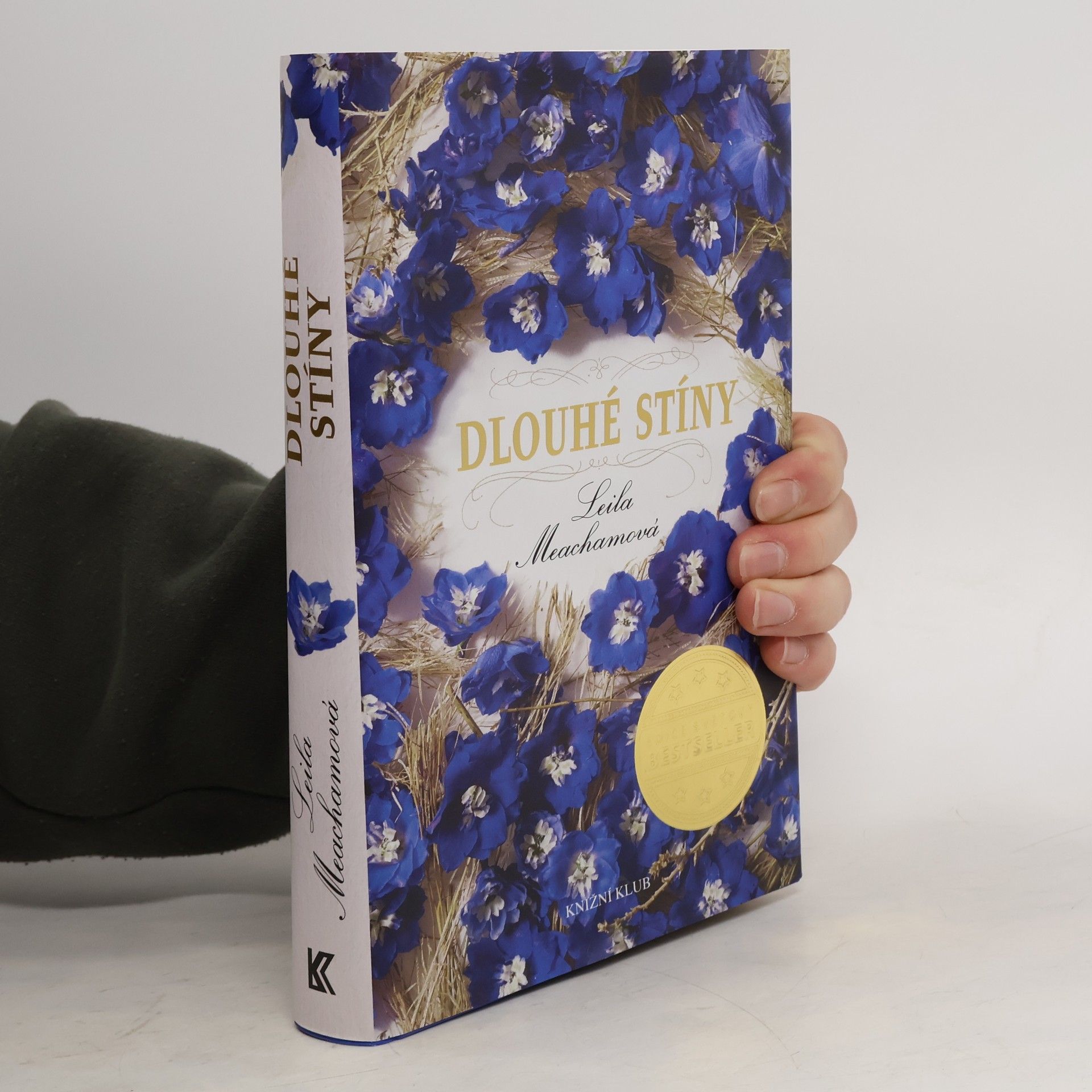 Leila Meacham Dlouhé stíny