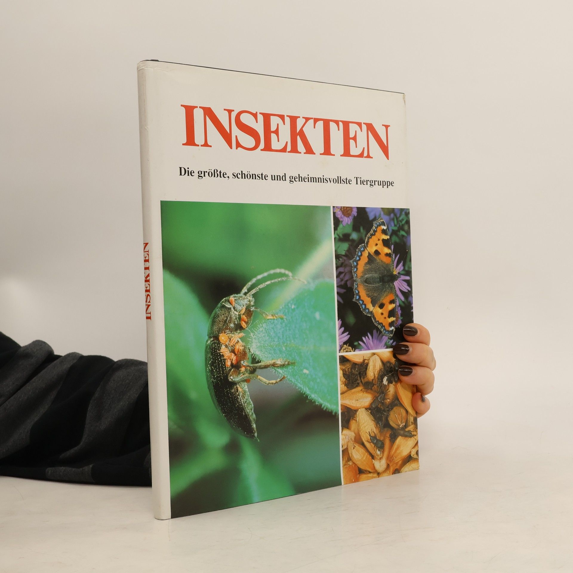 Gisella Dedionigi Insekten