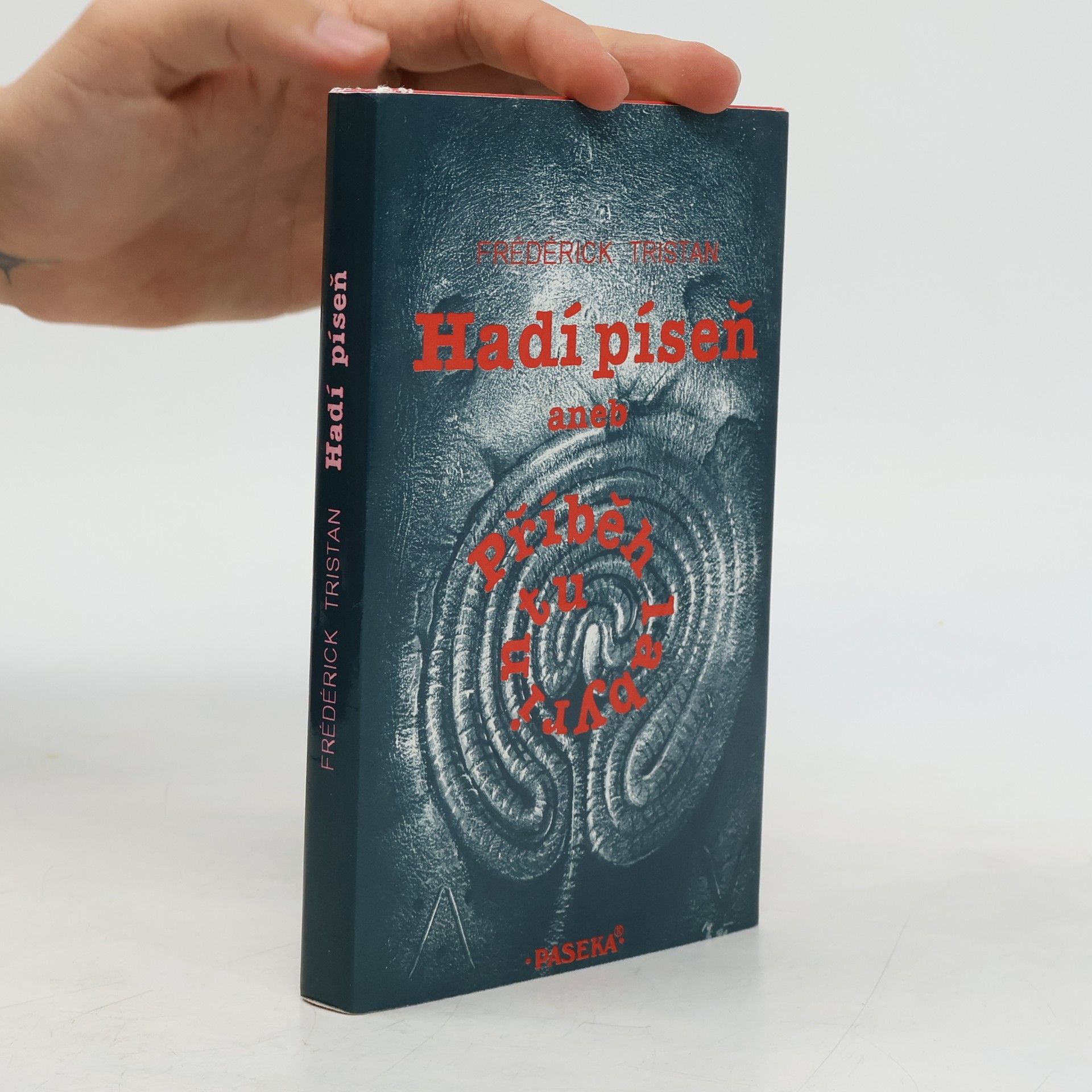 Hadí píseň aneb Příběh labyrintu