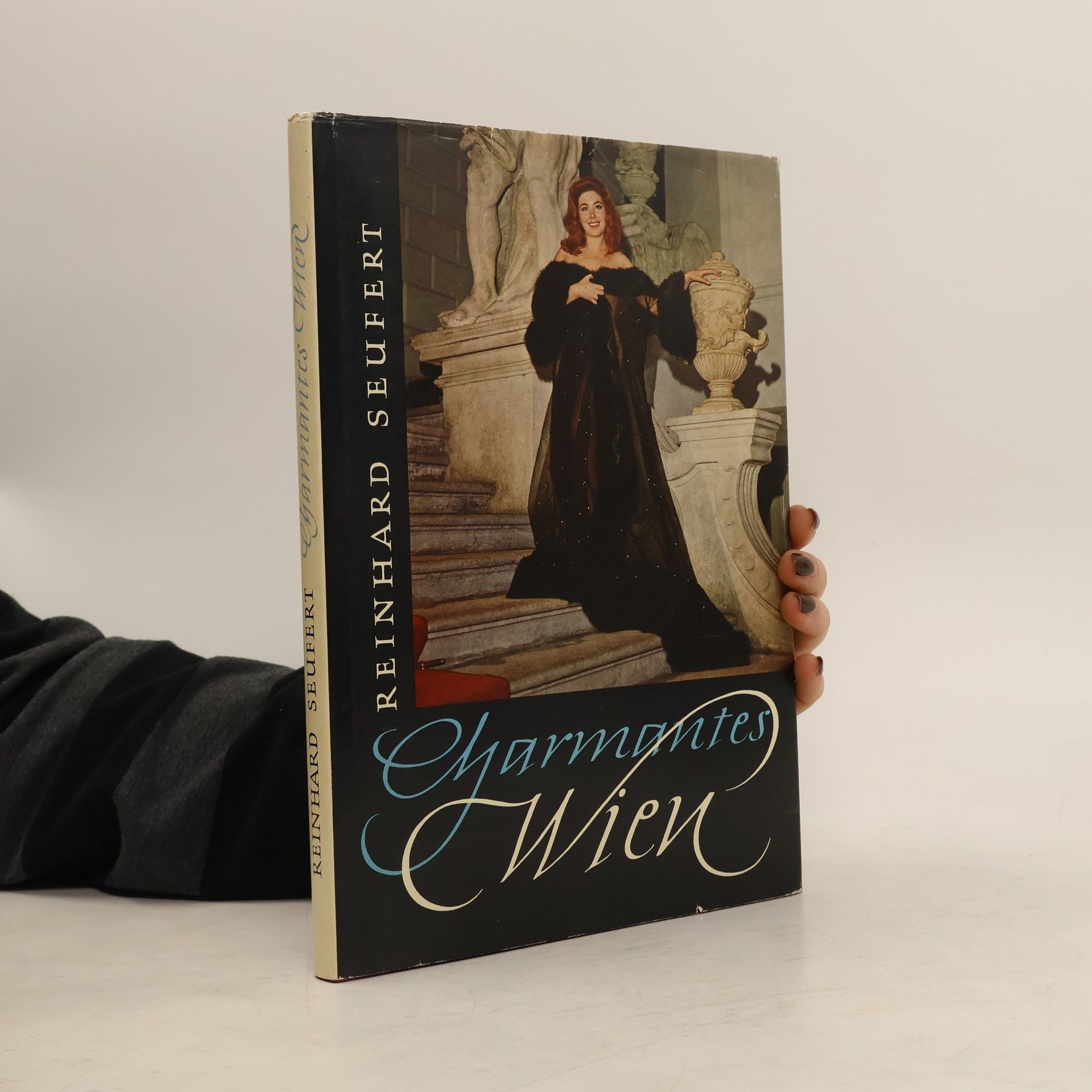 Reinhard Seufert Charmantes Wien