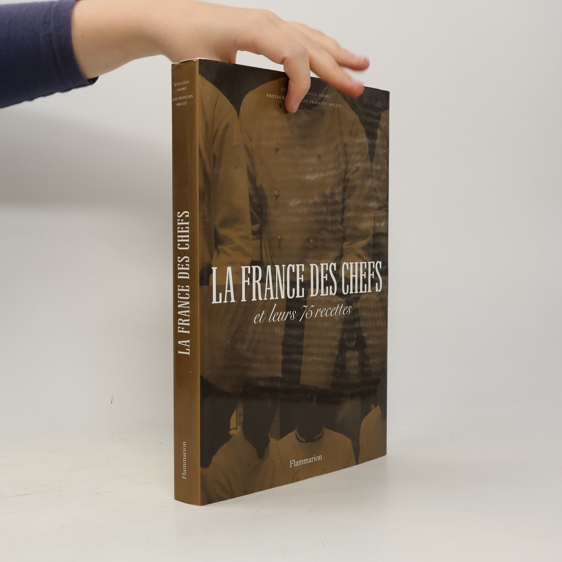 Jean-Louis André La France des chefs