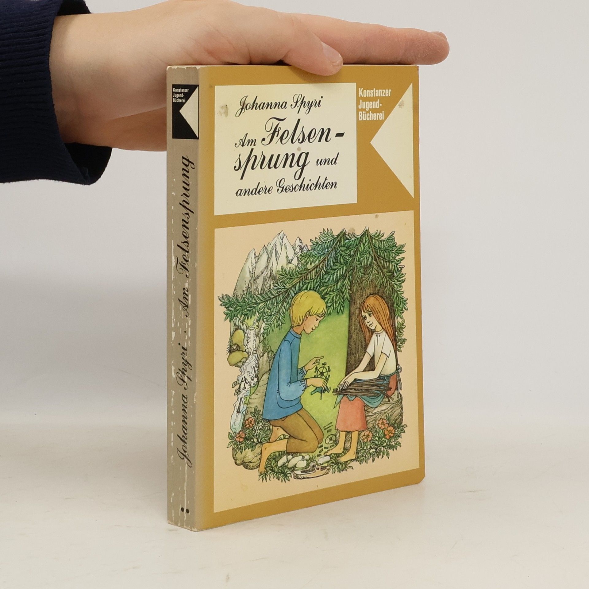 Johanna Spyri Am Felsensprung und andere Geschichten