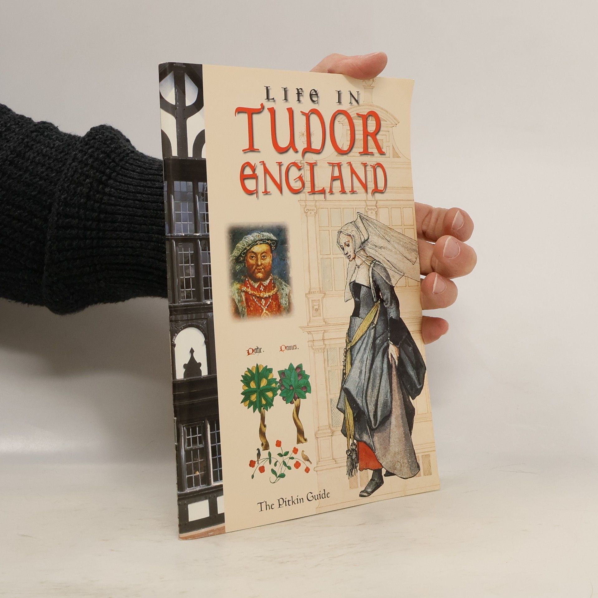 Peter Brimacombe Life in Tudor England