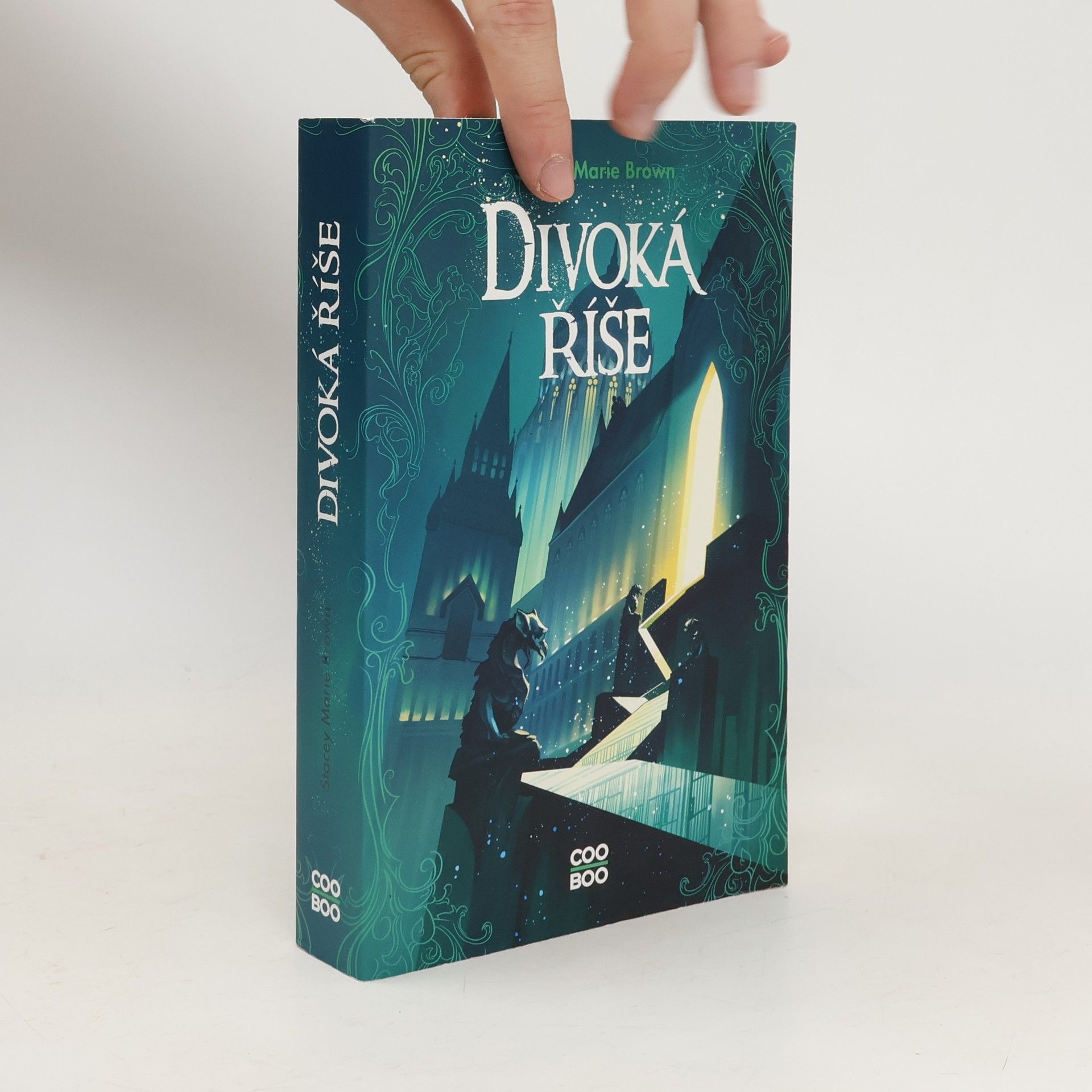 Stacey Marie Brown Divoká říše