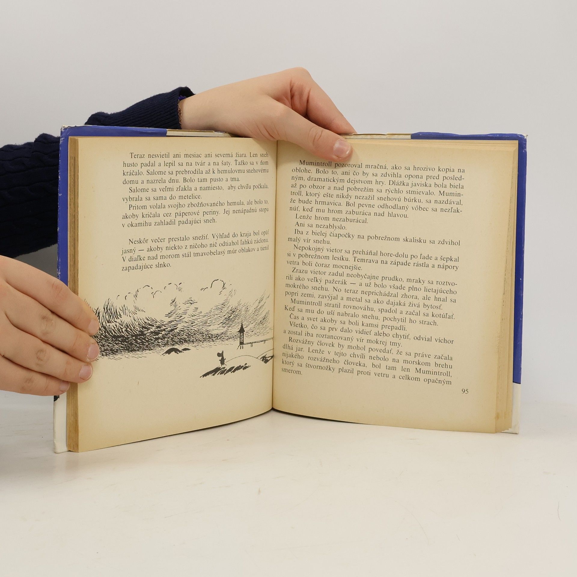 Tove Jansson Čarodejná zima