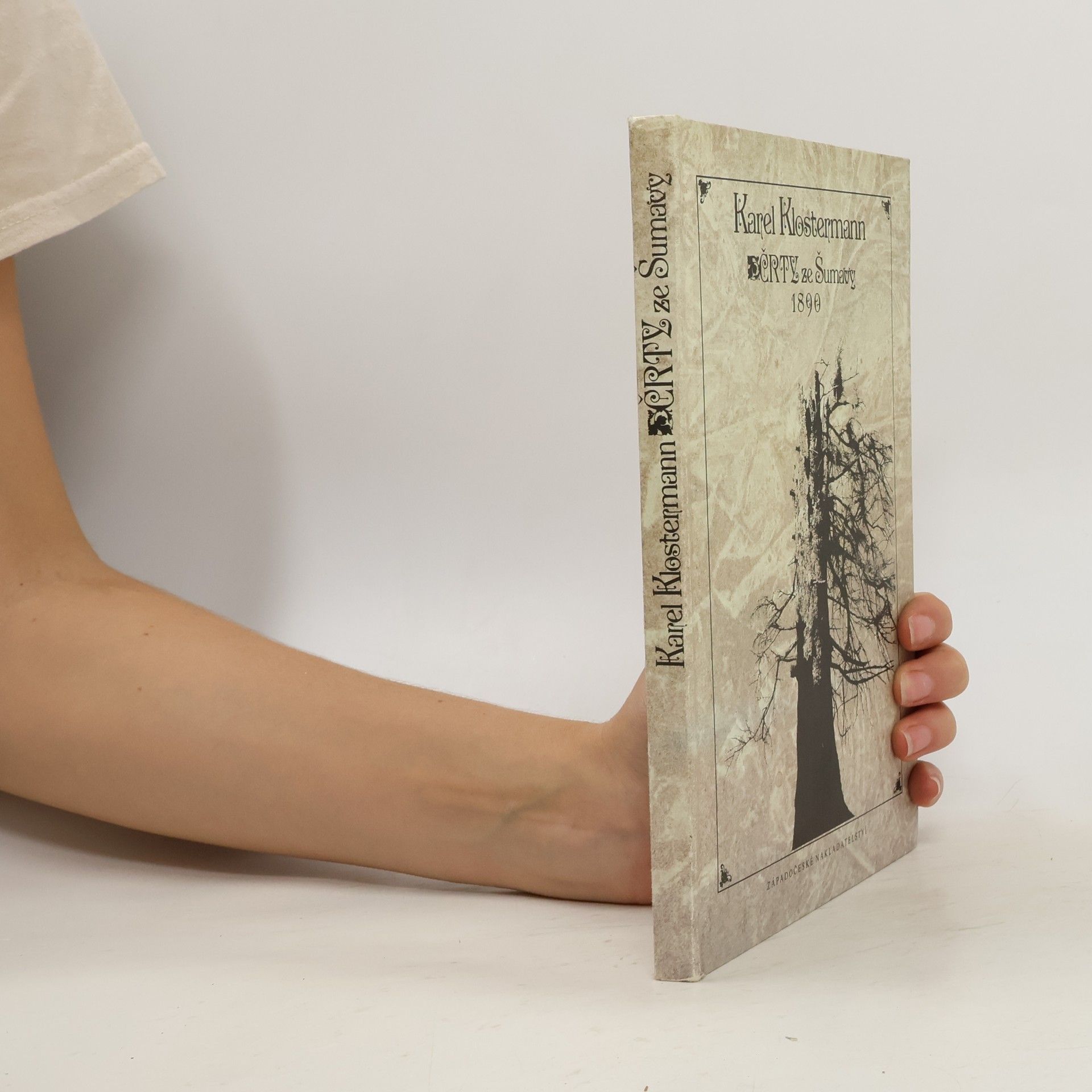 Karel Klostermann Črty ze Šumavy 1890