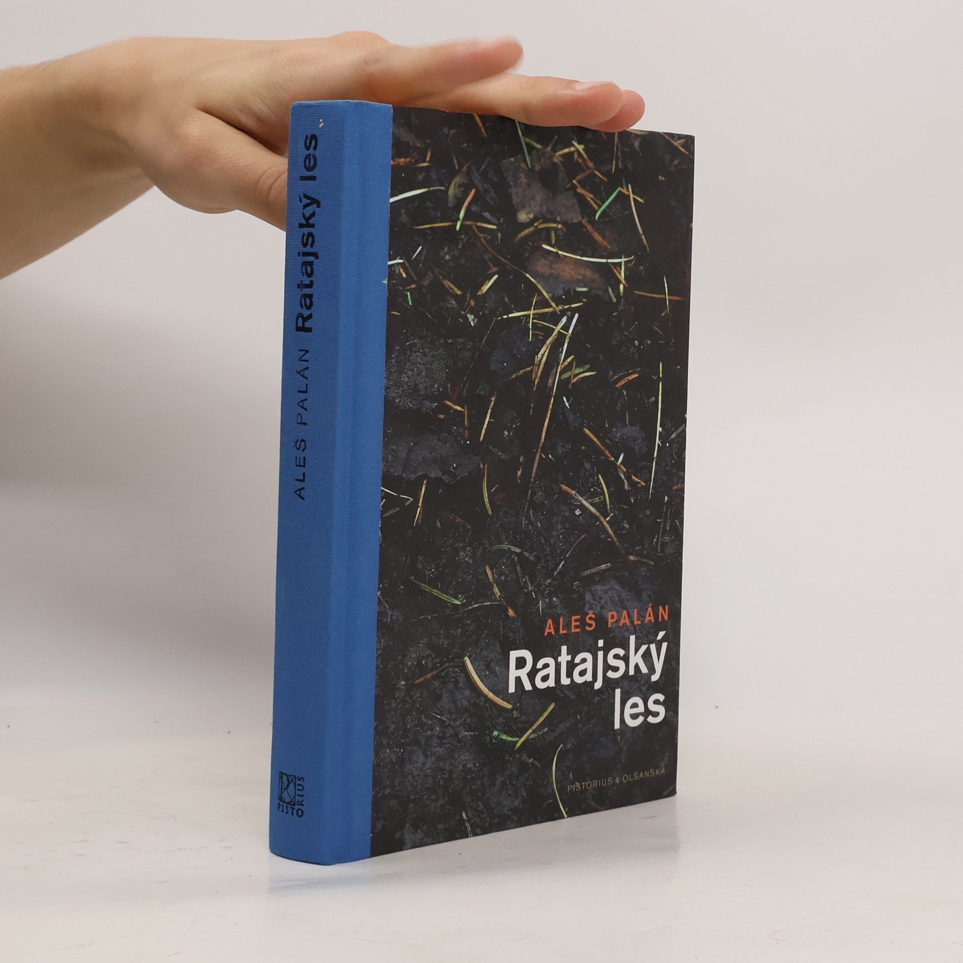 Aleš Palán Ratajský les
