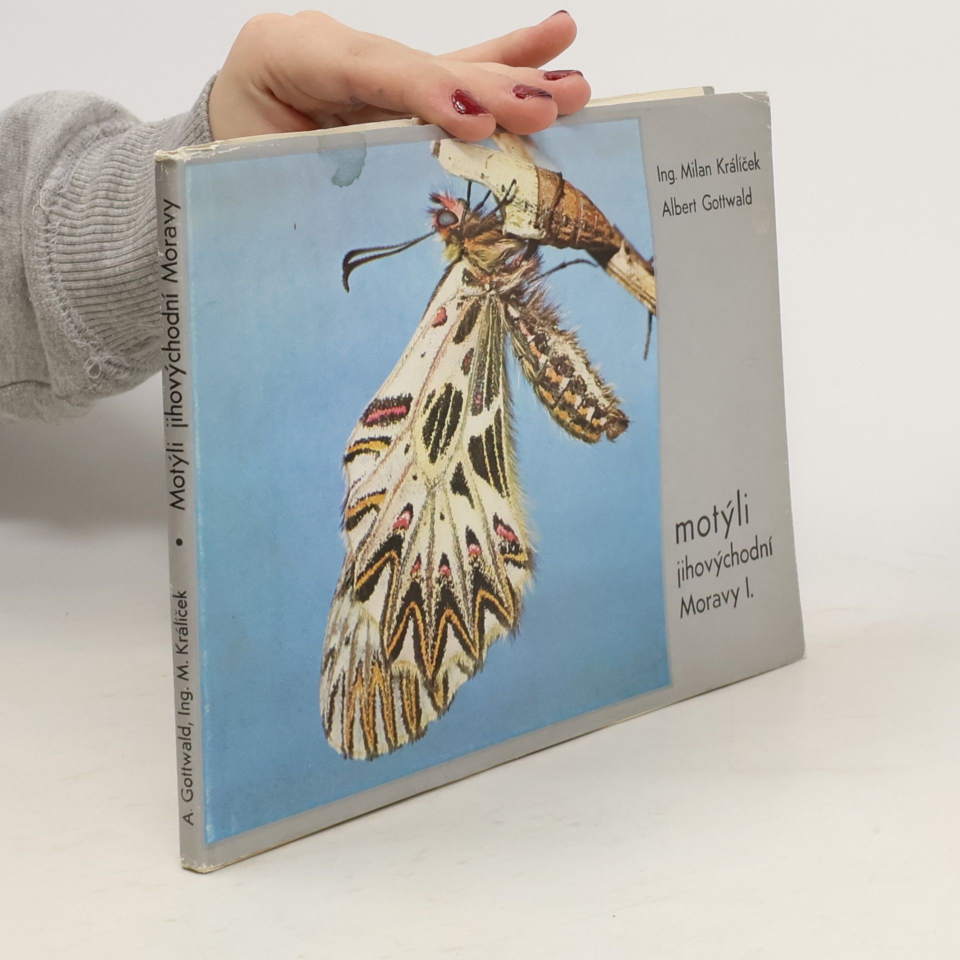 Motýli jihovýchodní Moravy I.