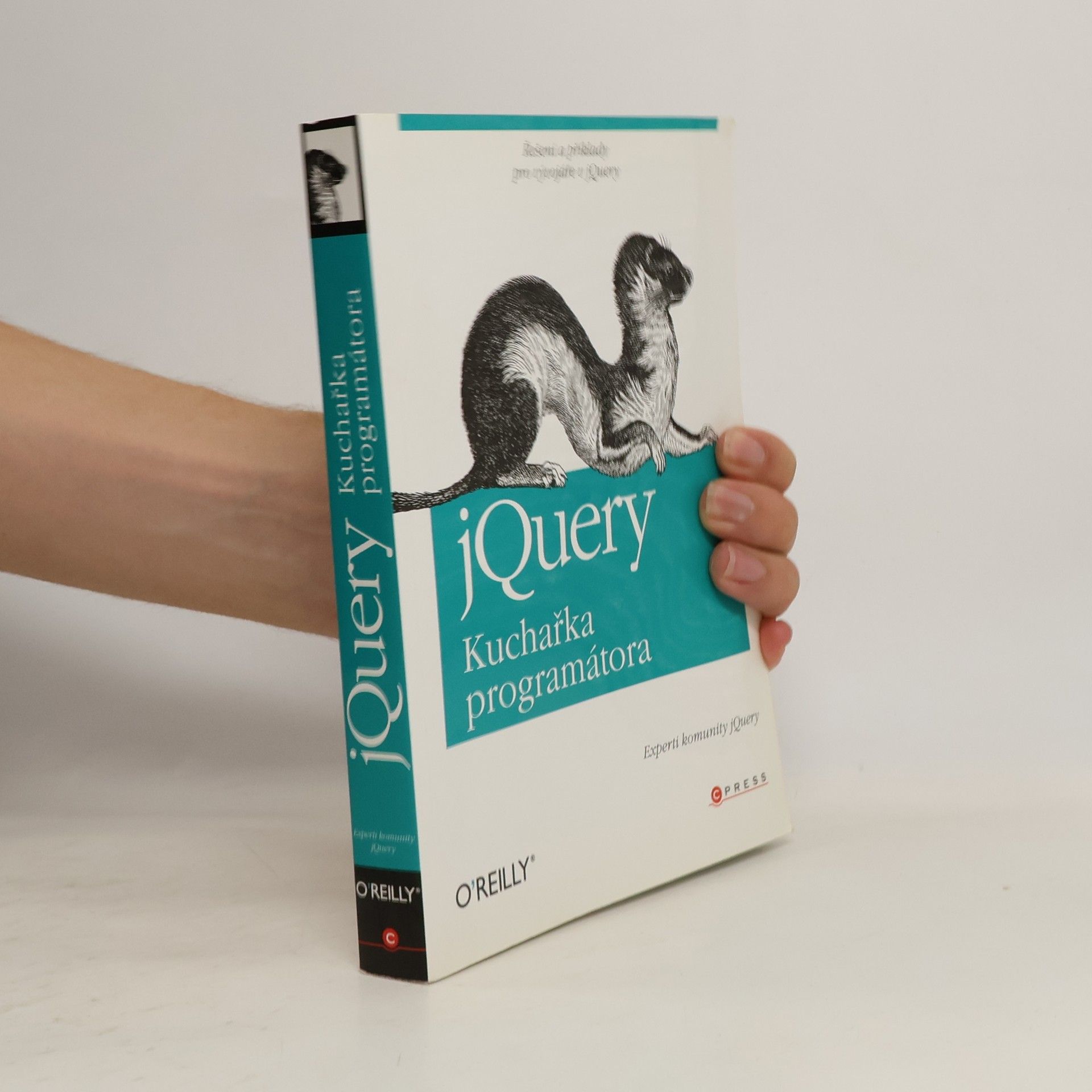 AA.VV. jQuery - kuchařka programátora