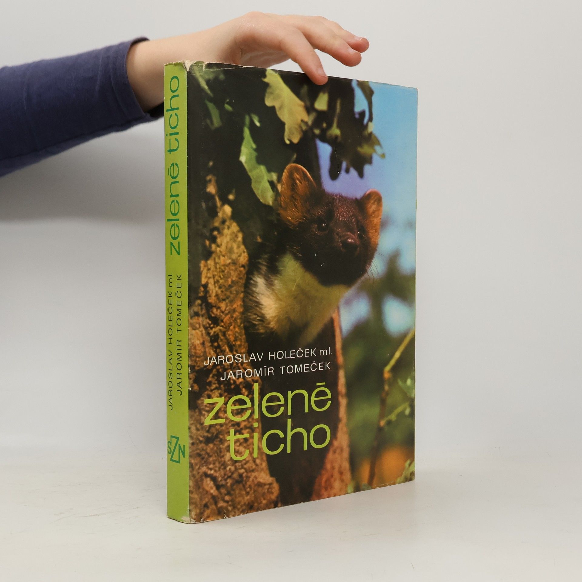 Jaroslav Holeček Zelené ticho
