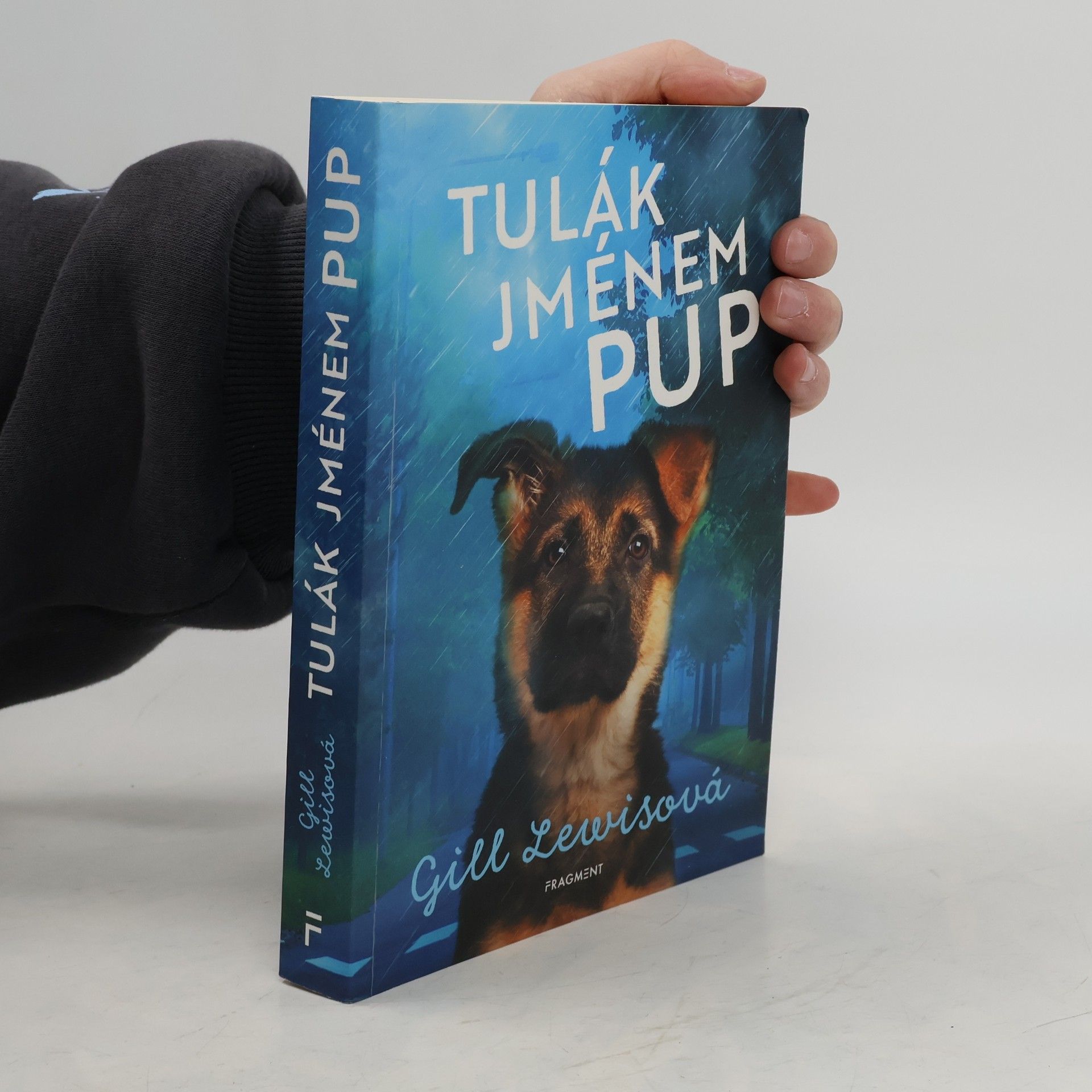 Tulák jménem Pup