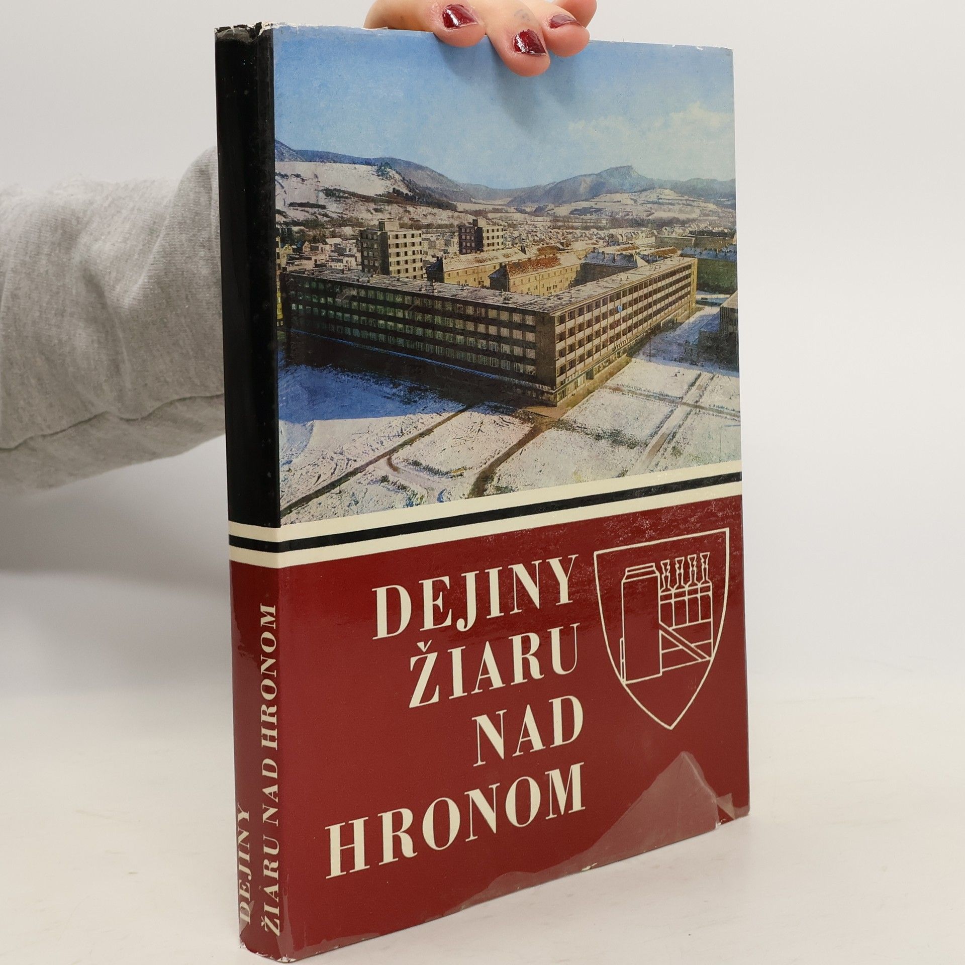 Auteurscollectief Dejiny Žiaru nad Hronom