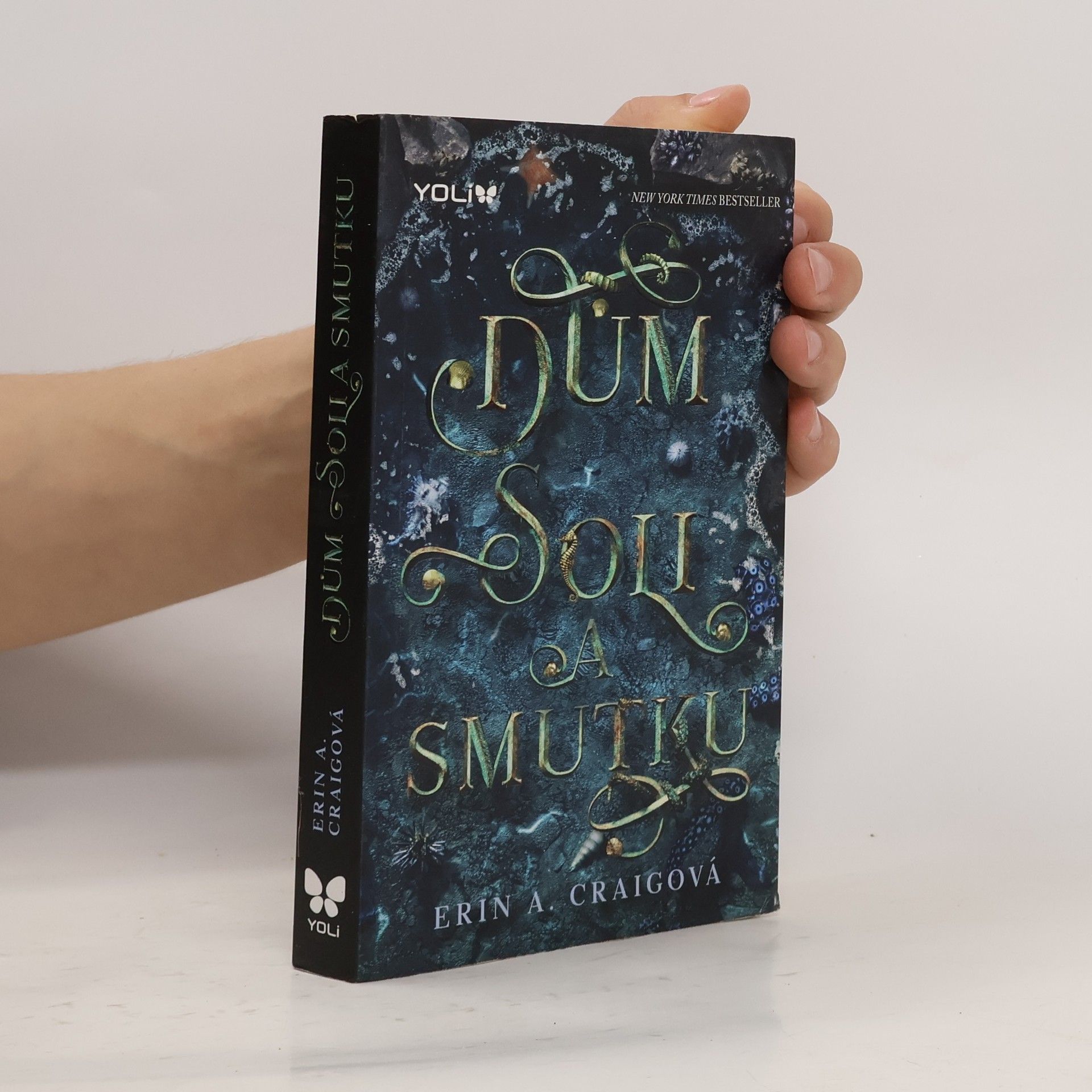 Erin A. Craig Dům soli a smutku