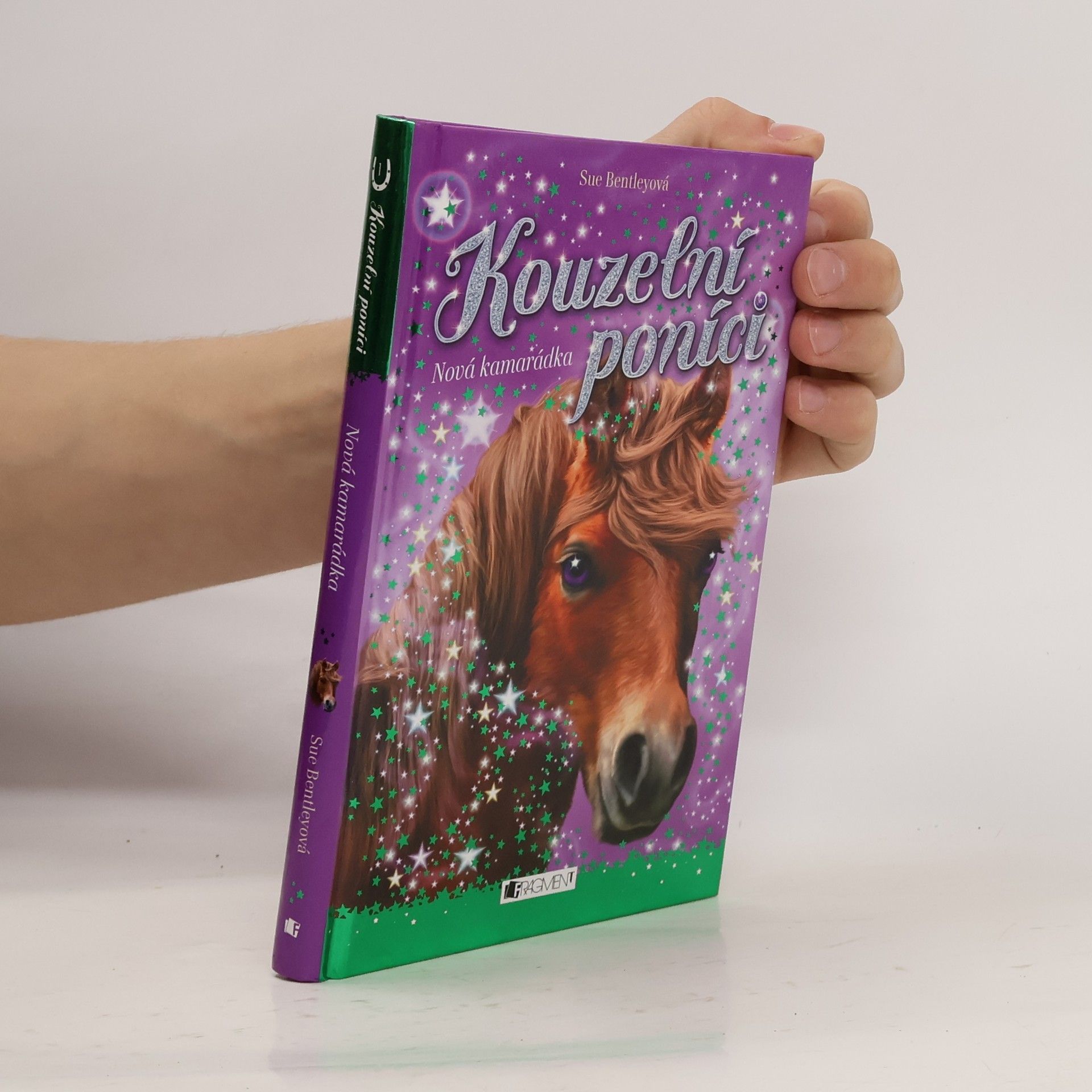 Sue Bentley Nová kamarádka