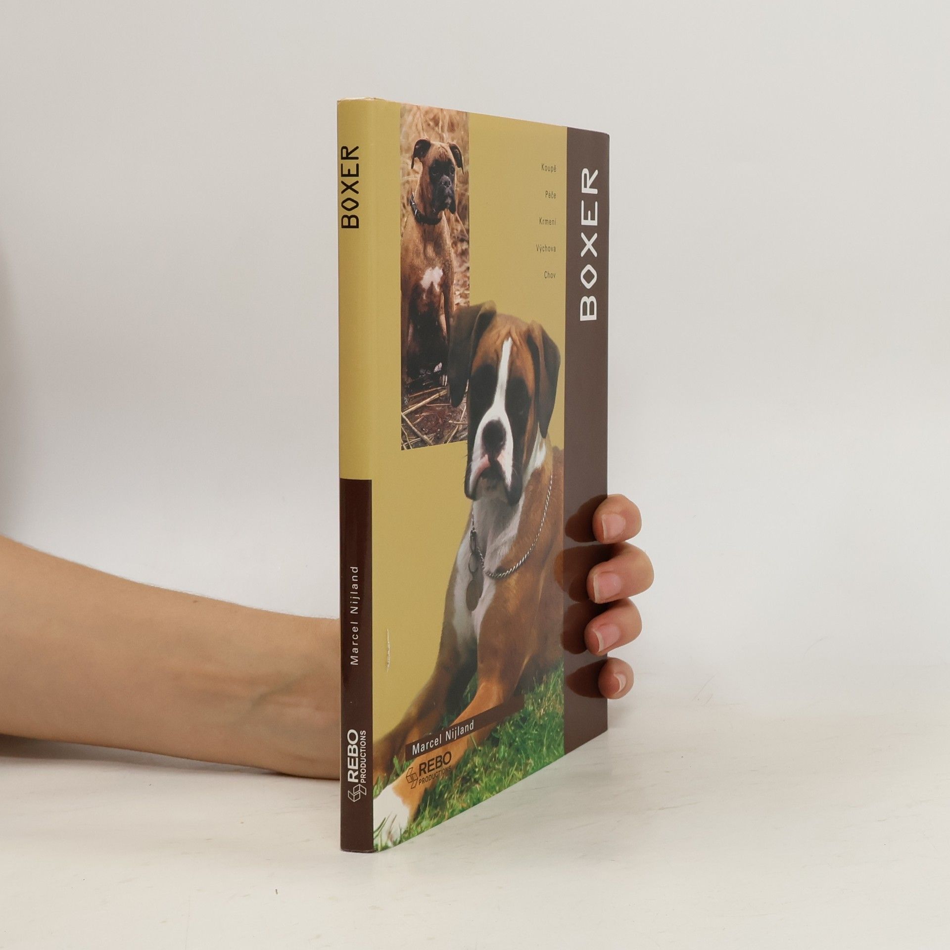 Marcel Nijland Boxer