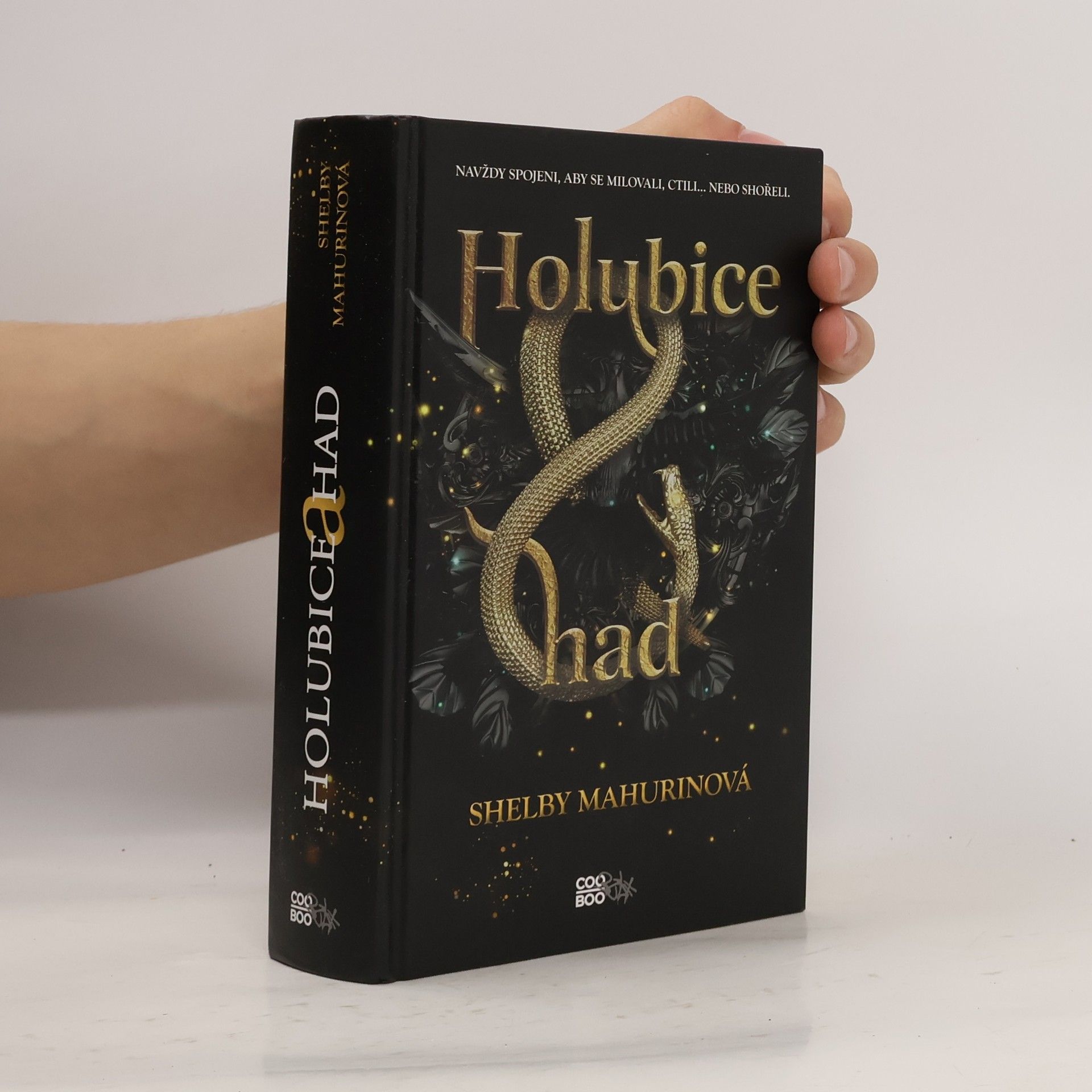 Shelby Mahurin Holubice a had