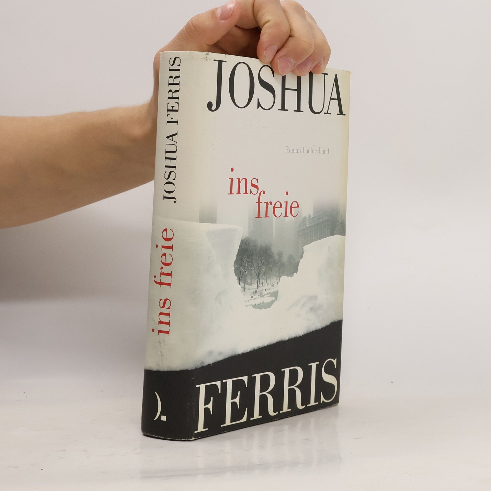 Joshua Ferris Ins Freie