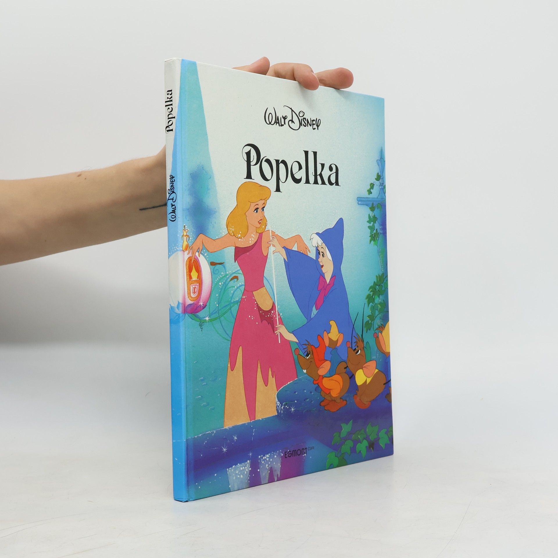 Kolektiv autorů Popelka