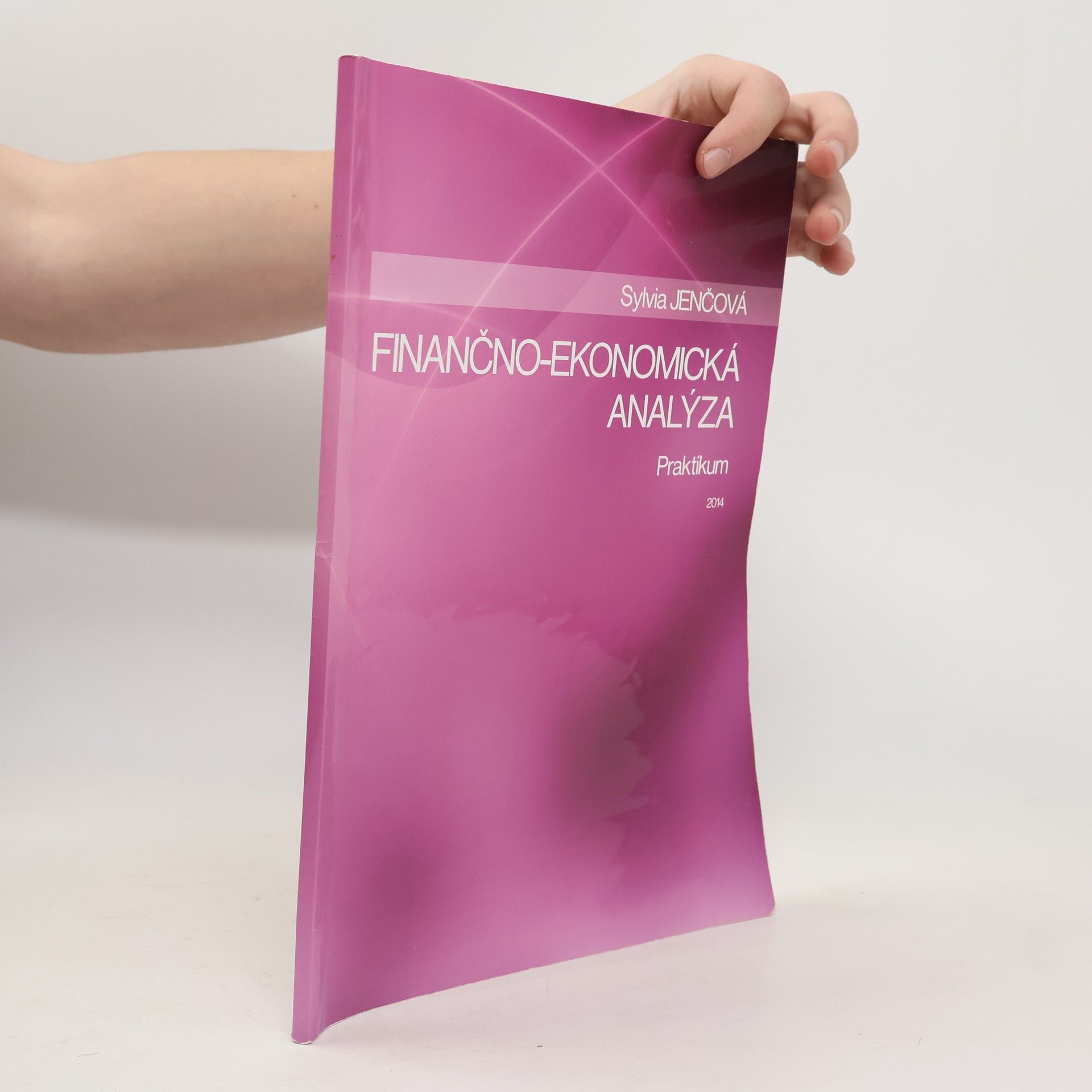 Finančno-ekonomická analýza