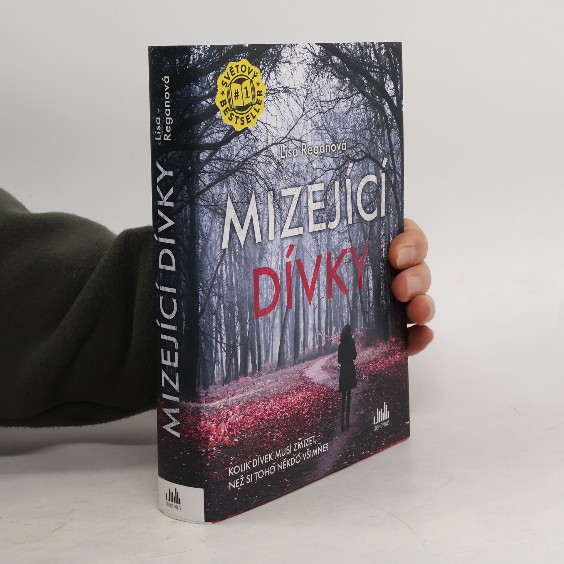 Lisa Regan Mizející dívky