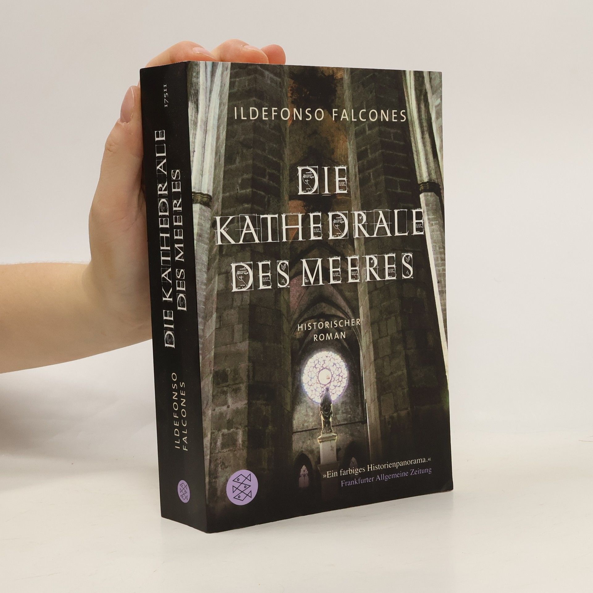 Ildefonso Falcones Die Kathedrale des Meeres