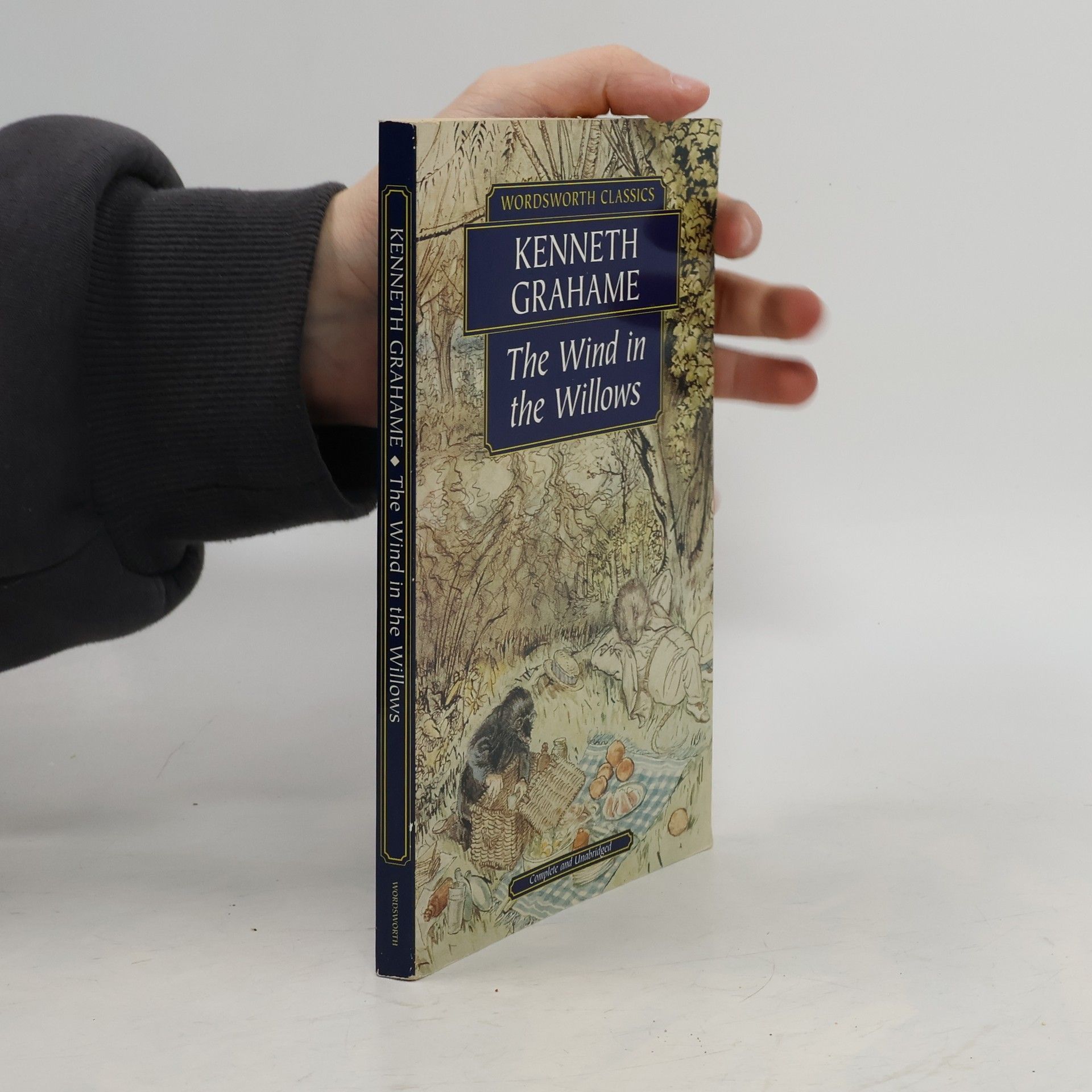 Kenneth Grahame The Wind in the Willows