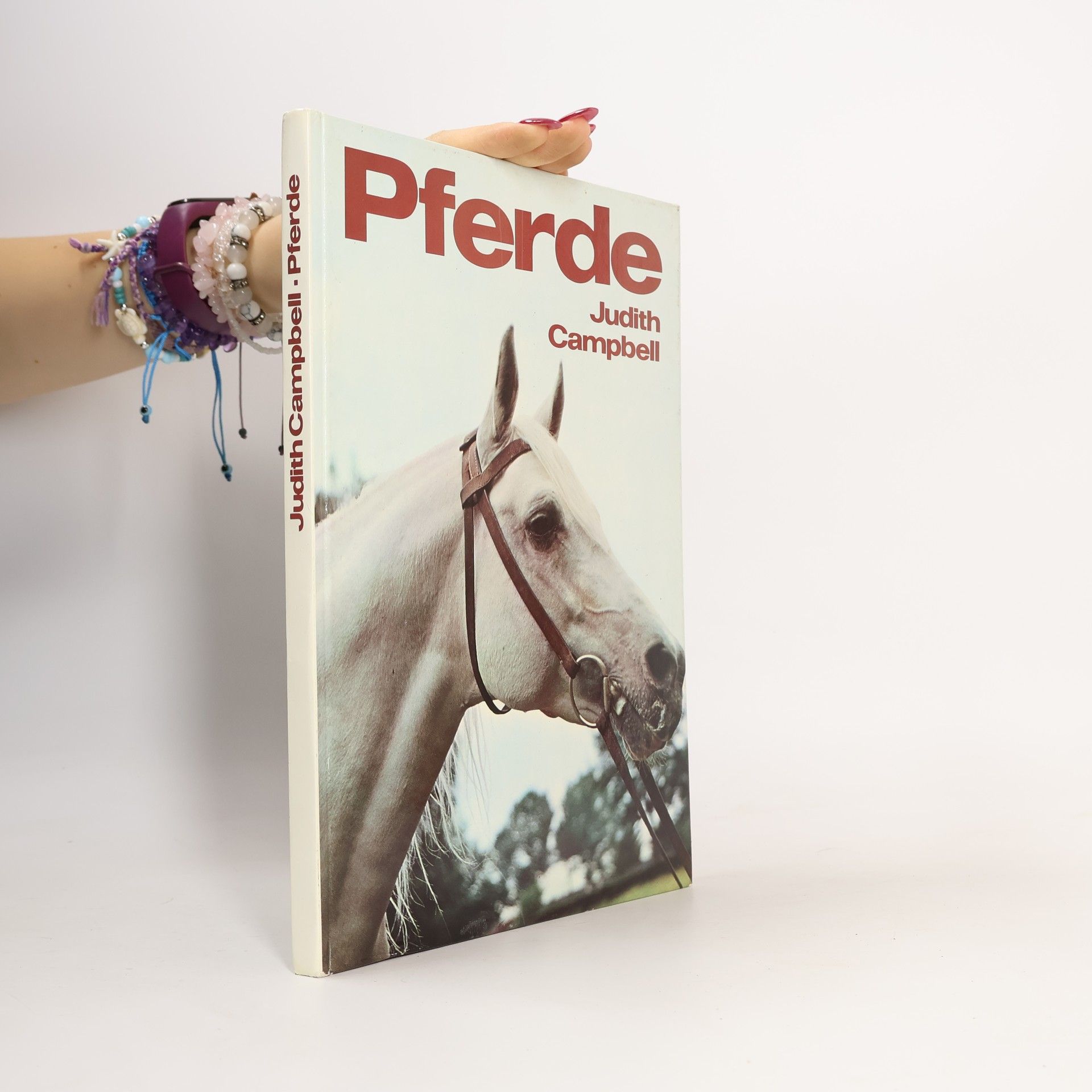 Judith Campbell Pferde