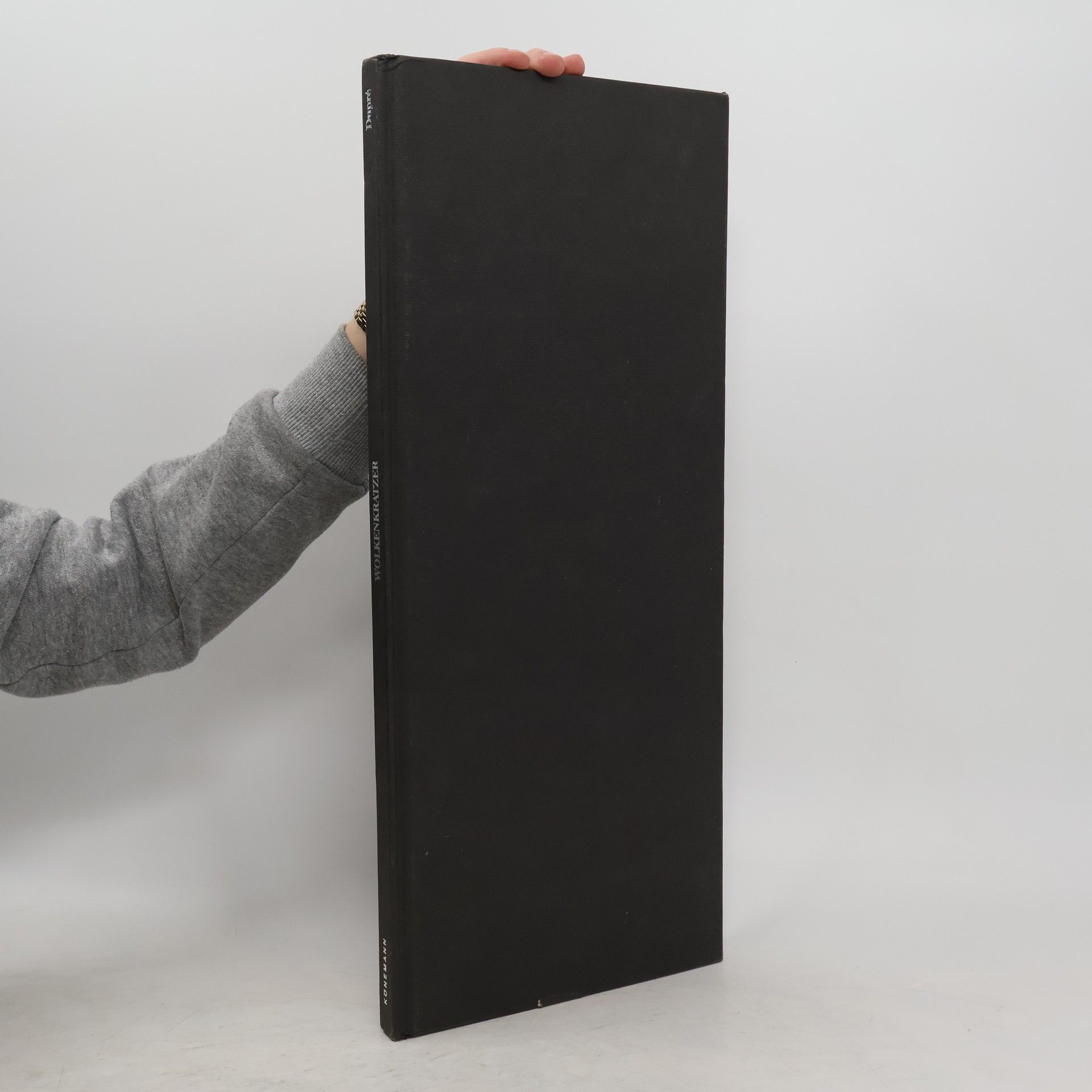 Judith Dupré Wolkenkratzer