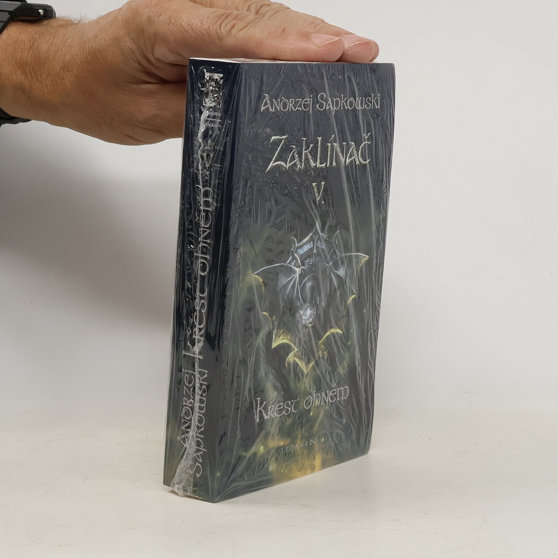 Andrzej Sapkowski Zaklínač V.