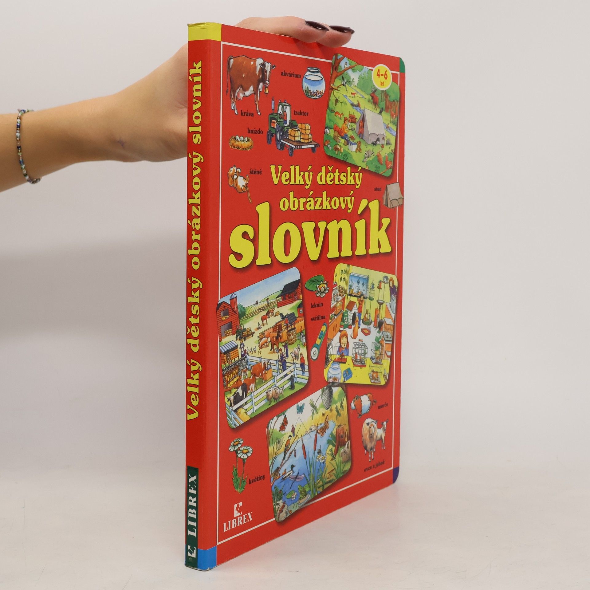 Various authors Velký dětský obrázkový slovník