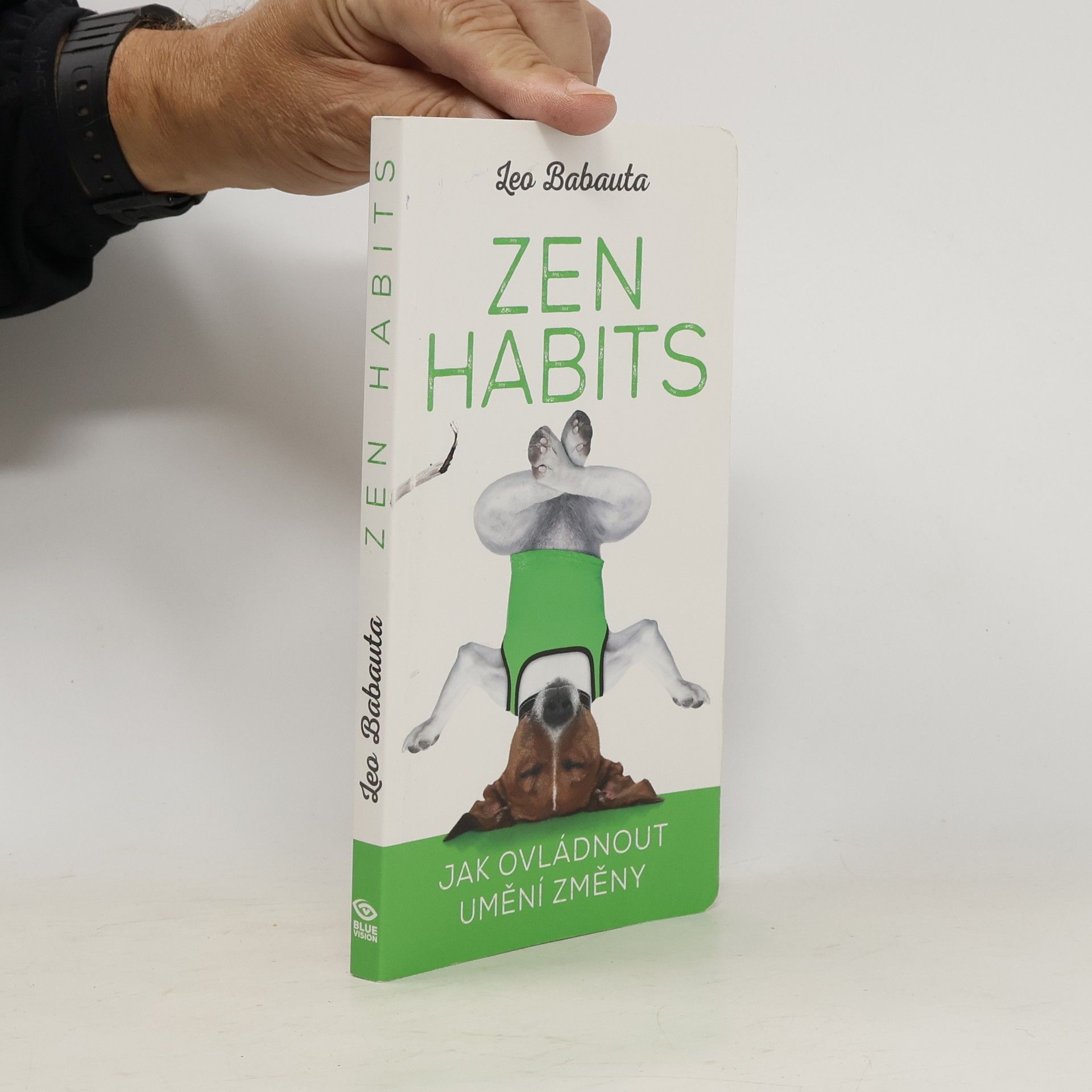 Leo Babauta Zen habits: Jak ovládnout umění změny