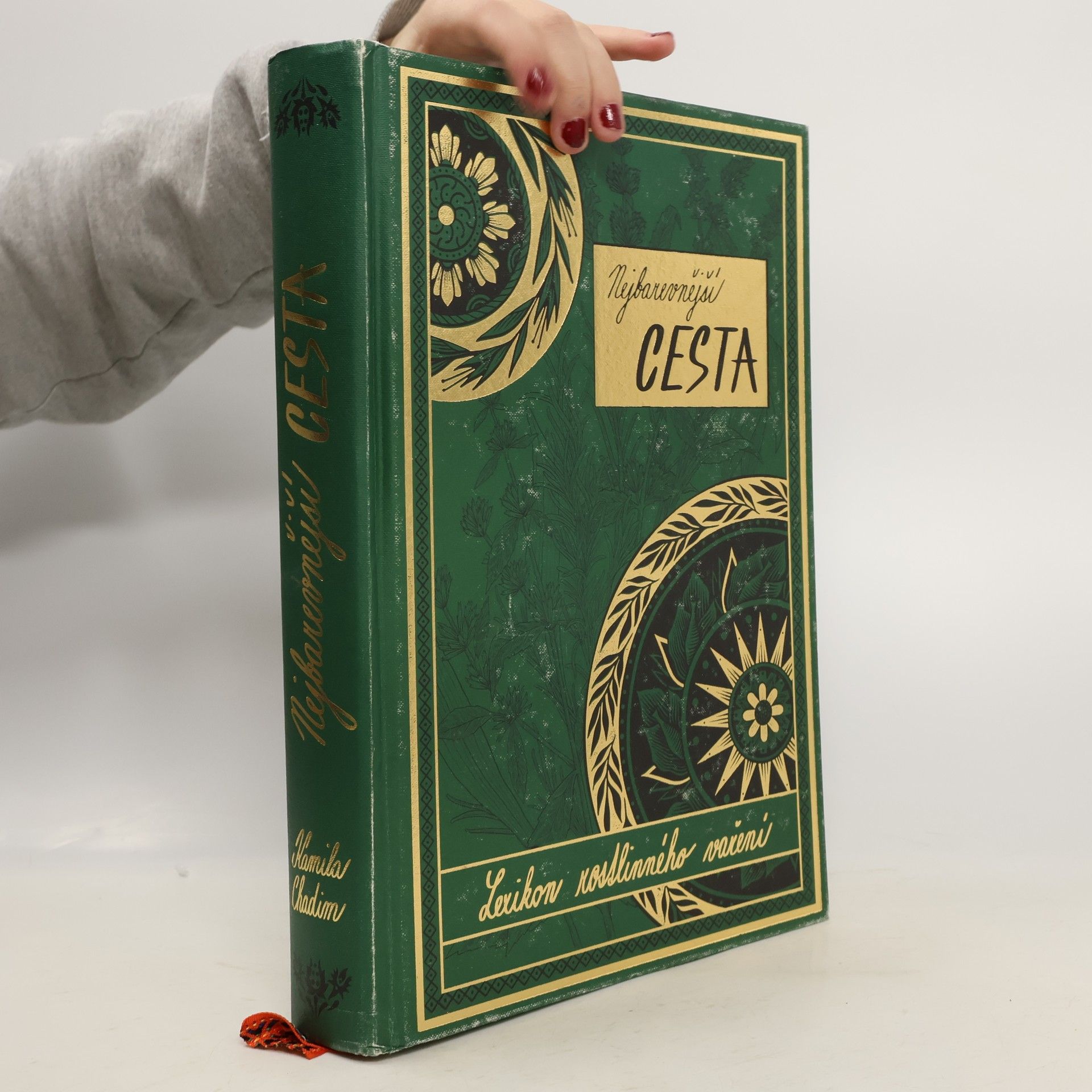 Nejbarevnější cesta