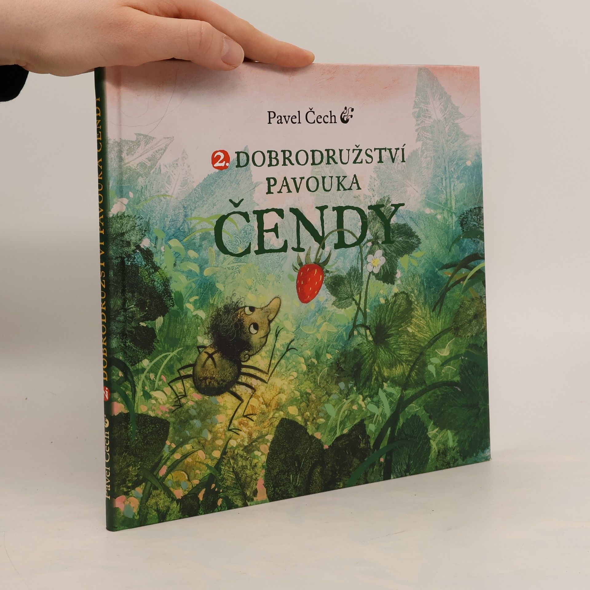 2. Dobrodružství pavouka Čendy