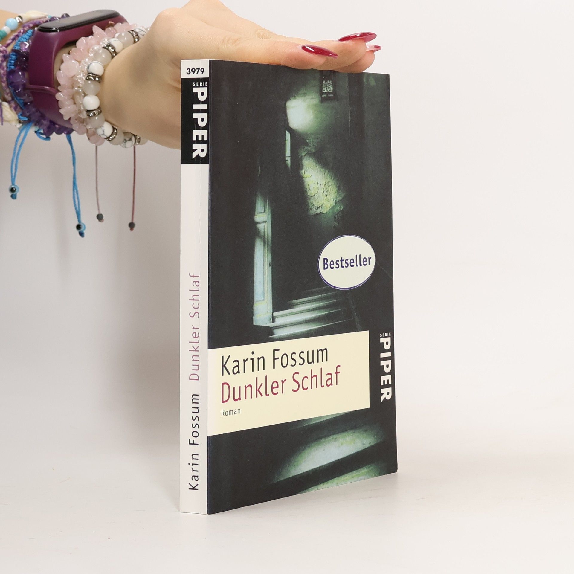 Karin Fossum Dunkler Schlaf