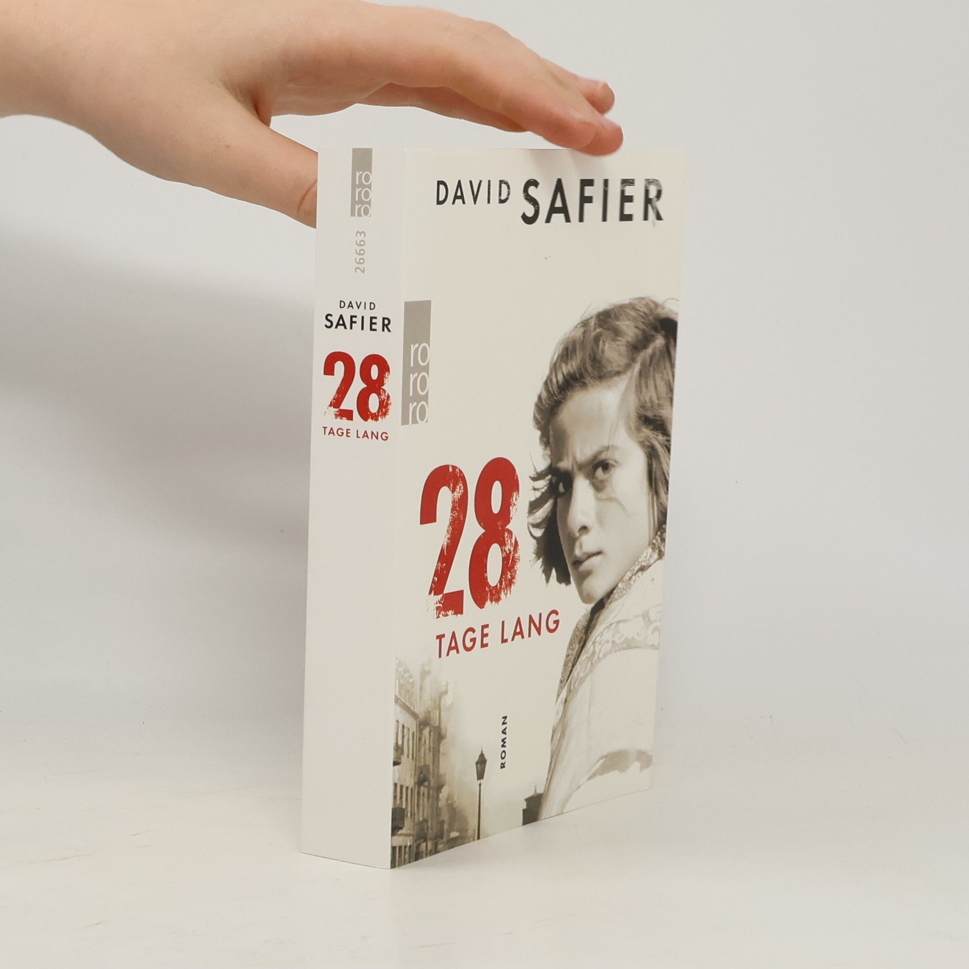 David Safier 28 Tage lang
