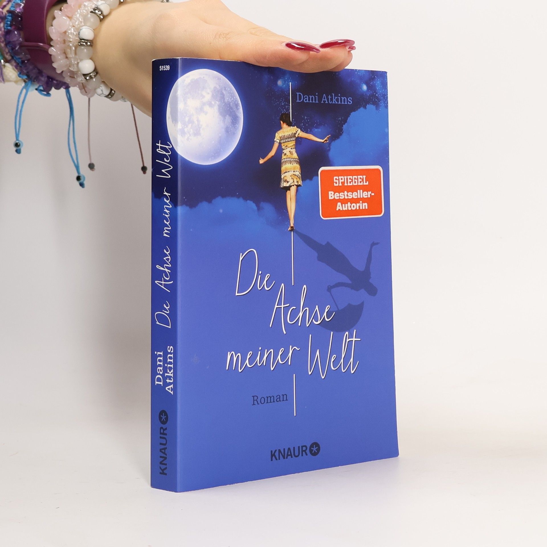 Dani Atkins Die Achse meiner Welt