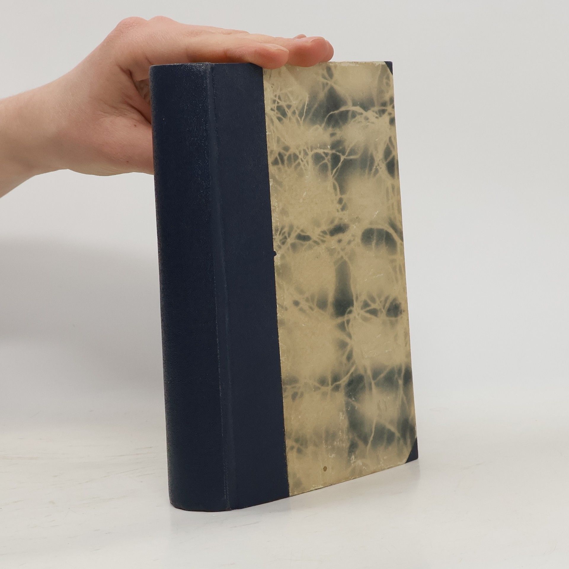 Jaro Fryčer Muži tmy