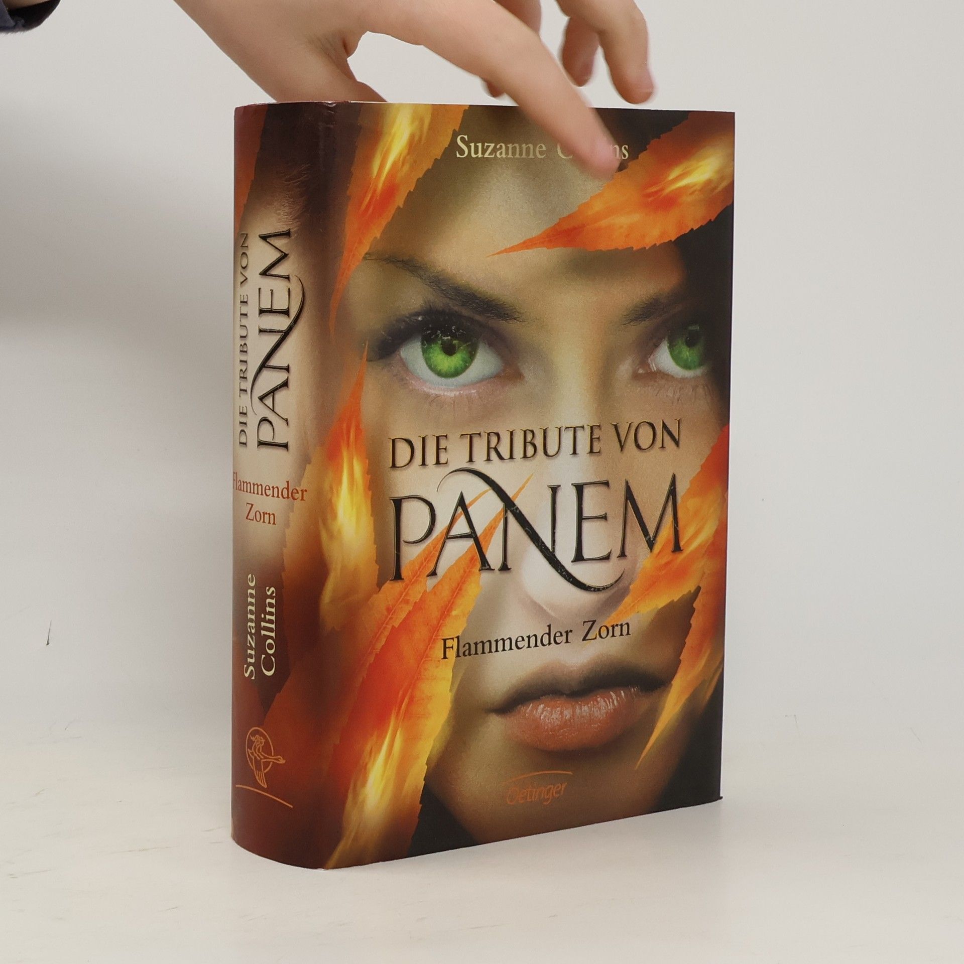 Die Tribute vom panem. Flammender Zorn