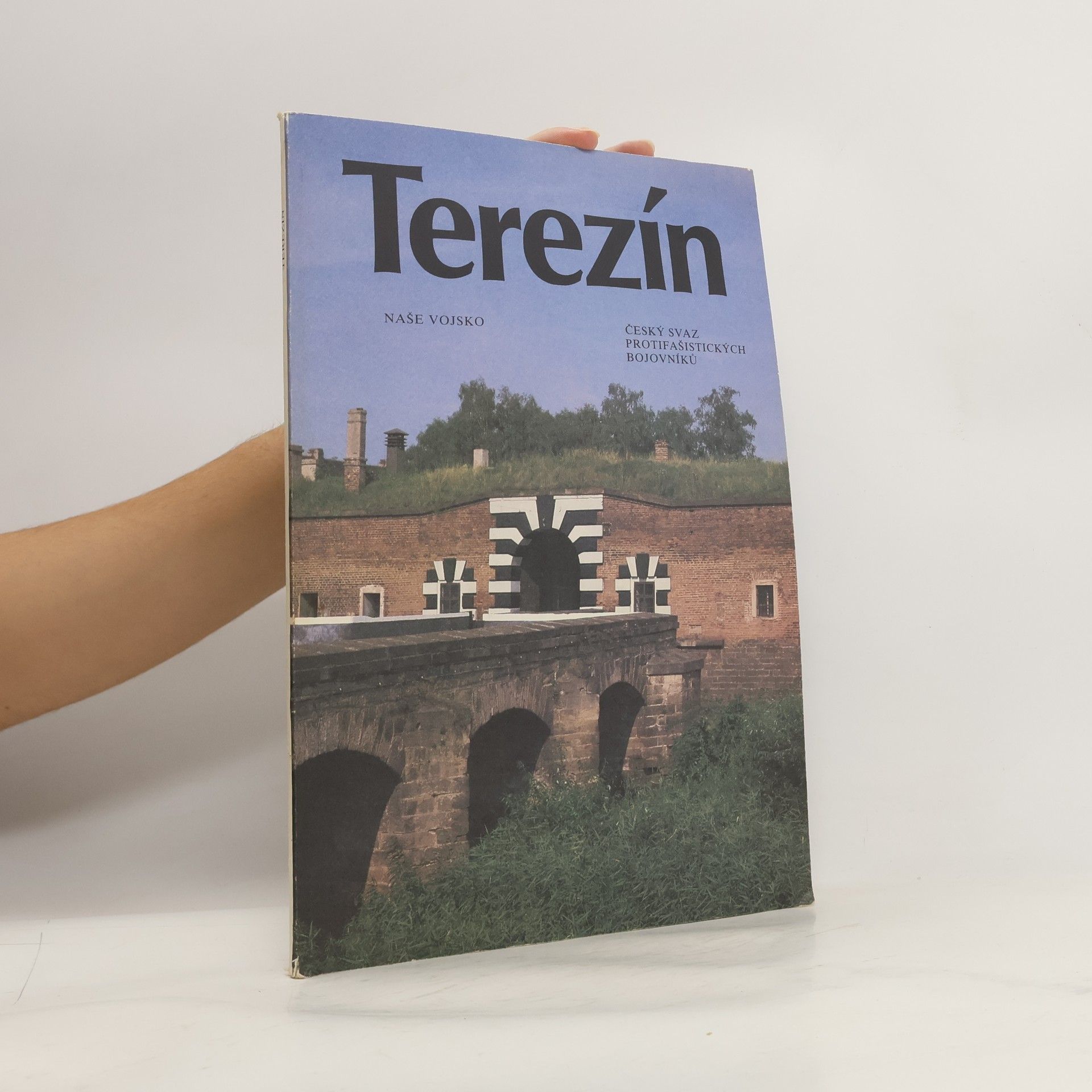 Autores varios Terezín
