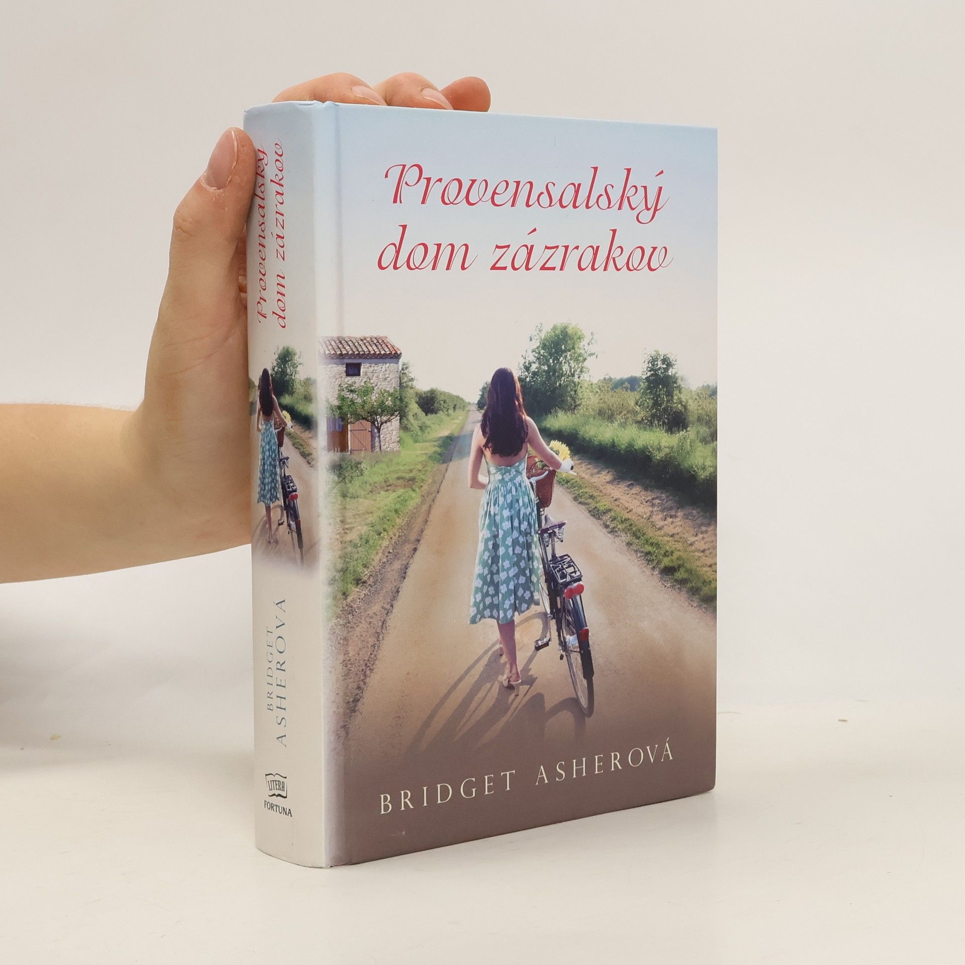 Bridget Asher Provensalský dom zázrakov