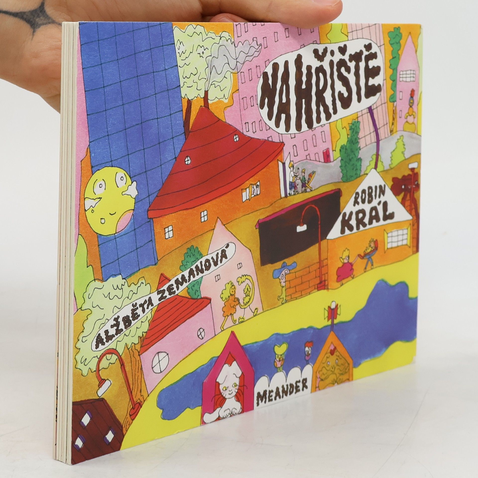 Robin Král Na hřiště