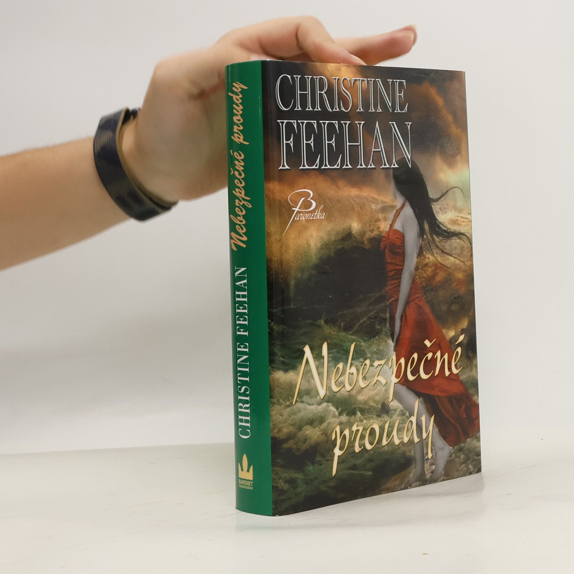 Christine Feehan Nebezpečné proudy